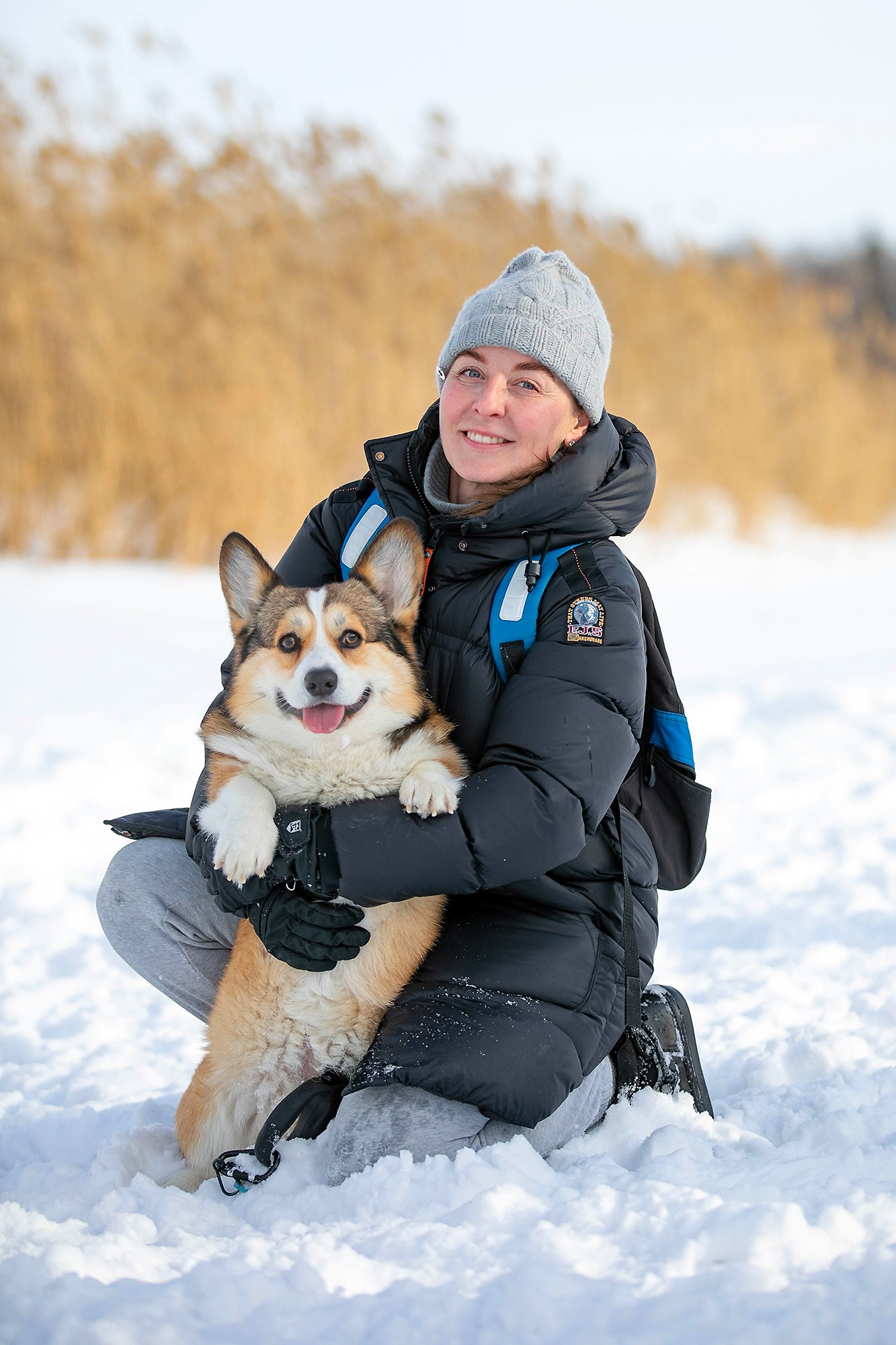 Корги-туса. Фотограф-анималист в Омске Екатерина Маричева