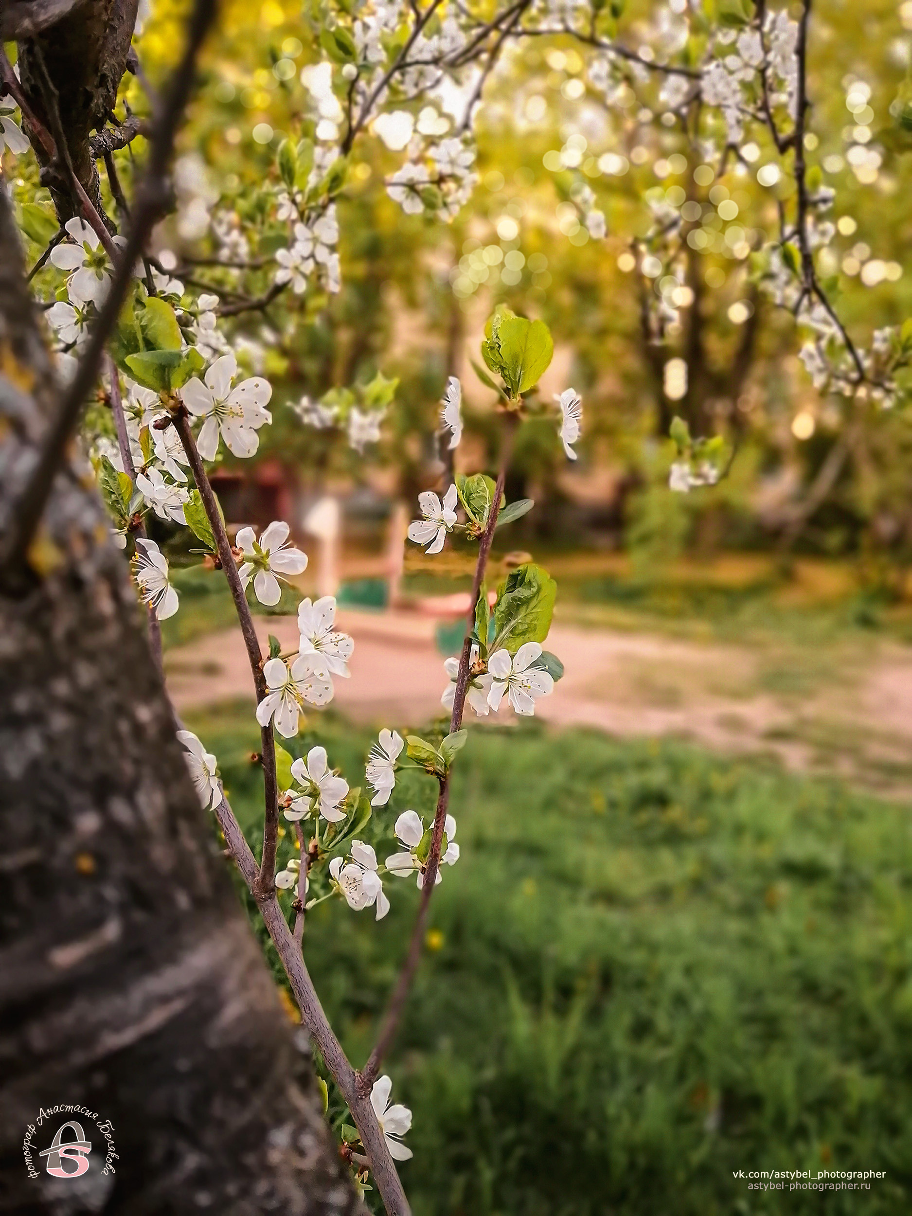 Фотограф Анастасия Белякова в Санкт-Петербурге и Гатчине
