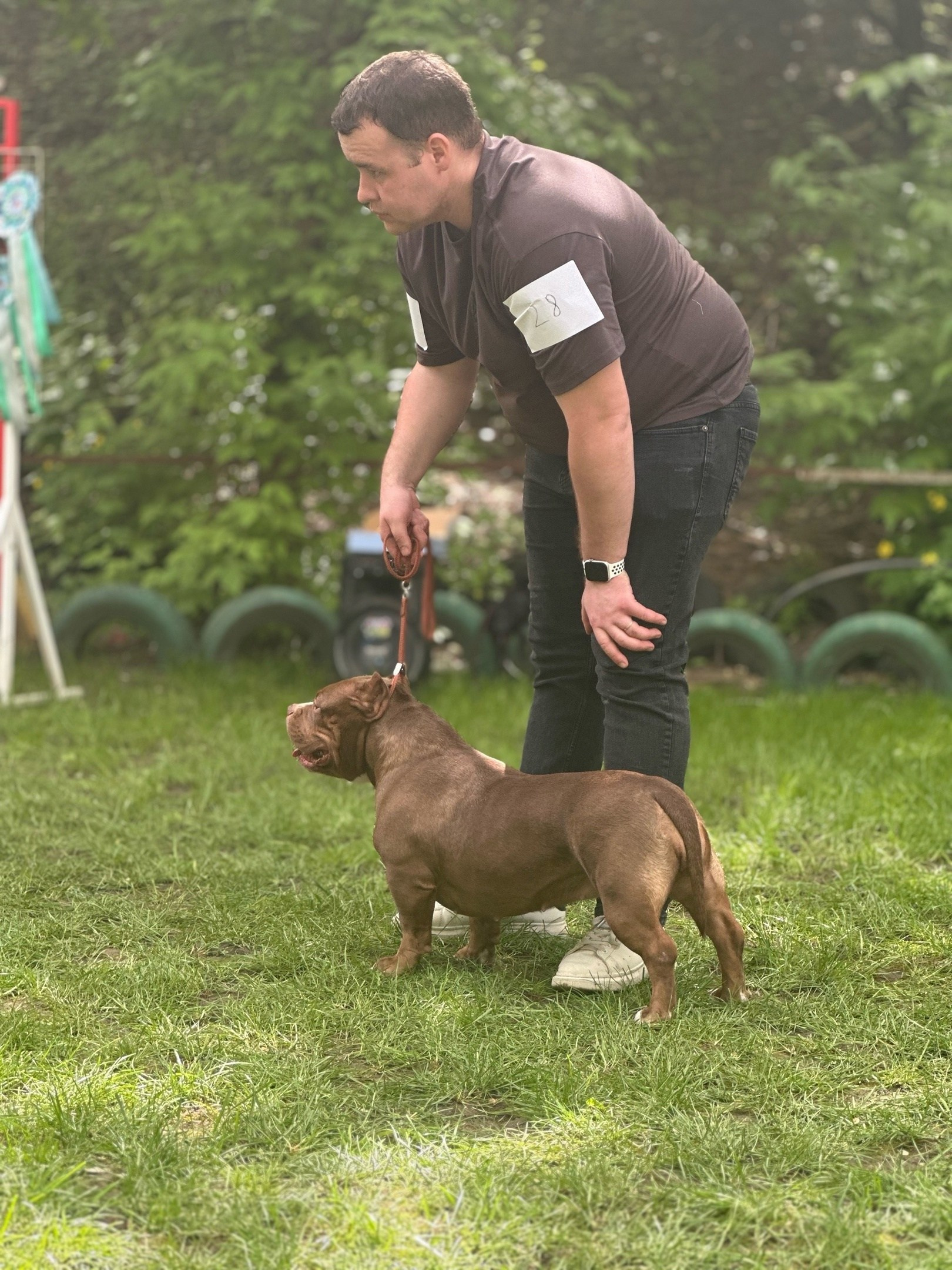 американский булли Юг, американский булли южный округ, лучшие американские булли на юге россии, топовые булли в россии, топовые американские булли в россии, ТОП булли, Топ американский булли, самые крутые американские булли, булли клаccик, булли покет, булли стандарт, булли экзот, булли xl, амeриканский булли, щенок булли, американский булли питомник, американский булли купить, американский булли щенок, американский булли москва, американский булли ростов-на-дону, американский булли краснодар, американский булли ставрополь, американский булли волгоград, американский булли семфирополь, американский булли ставрополь, американский булли сочи, американский булли воронеж, американский булли питер, американский булли санкт-петербург, американский булли Казань, американский булли Новосибирск, американский булли Челябинск, американский булли Ростов, американский булли Луганск, американский булли Донецк, американский булли покет, американский булли классик.американский булли ,американский булли щенки , американский булли купить ,американский булли фото , американский булли покет , собака американский булли , порода американский булли , американский булли цена , купить щенка американского булли ,американский булли характеристика , порода собак американский булли, питомник американских булли , американский булли отзывы, американский булли стандарт , американский булли отзывы владельцев, американский булли xl , россия американские булли , американские булли москва , американский булли вес , американский булли цена щенка, американский булли породы собак сша , американский булли размеры , американский булли классик , американский булли классика , американский булли характеристика породы , авито американский булли , сколько стоит американский булли , окрасы американских булли , американский булли виды , американский булли типы , американский булли цена в россии , американский булли экзот , американский булли микро , американский булли мини , собака американский булли фото , американский булли спб , американский булли характер , минусы американского булли , купить американского булли в москве , американские булли сколько щенков , плюсы американского булли , американский булли плюсы и минусы , взрослый американский булли , американский булли фото цена , американский булли фото щенков , американский булли крым , сколько живут американские булли , американский булли описание , американский булли купить авито , американский булли ростов , собачий питомник , питомник для собак , собаки , порода , щенки, щенок для детей, щенок для ребенка, щенок для семьи, собака для ребенка, питомник BULLY LOVERS, питомник THE POWER OF SIBERIA, питомник Ultimate Bully, питомник FORTIS FORTUNA VALIDI, питомник EXTREME BEAR, питомник American Dream, Питомник RUSSIAN BULLS, питомник ТАРУС & BULLY LAND, питомник Bully Ranch P&N, Питомник ANTREABULLS, питомник Ambully House, питомник Mar Nero, питомник Alfabulls, #micro #microbully #ambully #ambullys #ambullylife #ambullyforlife #ambullyworld #ambullylove #ambullylover #ambullylovers #ambullyloversfans #americanbullybreed #americanbullykennelclub #американскийбуллипитомник #bullies #bulliesallday #bulliesofig #bulliesofinsta #bulliesofinstagram #instabullies #bullieslife #bullymag #americanbully_feature #americanbullydog #tribullies #americanbullyblue #americanbullytricolor #bullystick #americanbullyStud, американский булли,американский булли щенки,американский булли купить,американский булли покет,американский булли фото,собака американский булли,порода американский булли,американский булли цена,американский булли купить щенка,американский булли характеристика,порода собак американский булли,американский булли отзывы,питомник американских булли,американский булли стандарт,американский булли отзывы владельцев,россия американские булли,американский булли виды,американский булли цена щенка,сколько стоит американский булли,американский булли цена в россии,американские булли москва,американский булли xl,американский булли размеры,типы американских булли,американский булли мини,американский булли вес,авито американский булли,американский булли породы собак сша,американский булли микро,американский булли характеристика породы,американский булли экзот,американский булли классик,американский булли классика,собака американский булли фото,американский булли характер,минусы американского булли,американские булли спб,американский булли окрасы,американский булли купить в москве,американские булли сколько щенков,плюсы американского булли,американский булли видео,американский булли плюсы и минусы,американский булли щенок фото,взрослый американский булли,американский булли девочка,американский булли описание,сколько живут американские булли,американский булли покет купить,американский булли крым,american bully,american bully ru,american bully ru shchenki,https american bully ru,https american bully ru shchenki,american bully xl,american bully питомник,american bully dog,american bully kennel,american dream bully,american bully pocket,american bully kennel club,all american bully фильм смотреть,american bully xxl,reddit american bully,american bully ru shchenki html,american bully wise,celina innovations crochet american bully part,https american bully ru shchenki html,american bully classic,питомник американских булли,питомник собак американский булли,питомник американских булли в крыму,питомник собак в крыму американские булли,питомник в крыму американский булли последние,питомник американских булли в москве,американские булли купить питомник,питомник американских булли в россии,питомник американских булли покеткупить щенка американский булли питомник,американские булли цена питомники,питомник американских булли в спб,питомник американских булли яна,купить американского булли в москве питомник,питомник американских булли в москве и московской,официальные питомники американских булли,крым питомник американских булли яна,булли американский купить питомник цена,москва и область питомники американских булли,питомник американских булли яна и гоша,американские булли подмосковья питомник,американский булли стандарт питомник,питомник американских булли екатеринбург,питомник американских булли ростов,лучшие питомники американских булли,питомник собак крым американский булли яна,яна питомник собак американский булли,американский булли купить в спб питомник,американский булли питомник львиное сердце уфа,американский булли питомник львиное сердце уфа вк,американский булли лучший питомник россии,американский булли питомник краснодар,американский булли купить спб щенка питомник,американский булли покет питомник москва,американский булли сайт питомник,питомник американский булли официальный сайт,питомник американских булли в челябинске,питомники американских булли в россии список лучших,питомник собак американских булли серпухов,питомник собак дзен американский булли,американский булли xl питомник,питомник американских булли в талдоме,питомник и цена американ американский булли,фаворит гигант питомник американских булли,американский булли купить,американский булли купить щенка,американский булли купить в москве,американский булли покет купить,американский булли купить щенка в москве,американский булли купить авито,купить американский булли цена,купить американского булли в спб,купить собаку американский булли,американский булли купить щенка цена,американский булли покет купить щенка,американский булли купить в беларуси,американский булли стандарт купить,американский булли купить москва московская область,купить американского булли в россии,купить американского булли в московской области,американский булли купить в екатеринбурге,американский булли купить в новосибирске,американский булли купить щенка в спб,