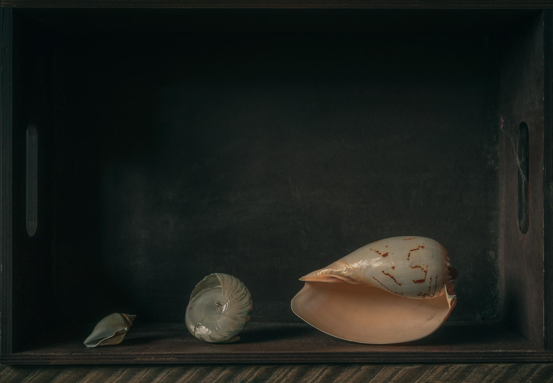 Fine Art фотограф Альбина Бугарчева