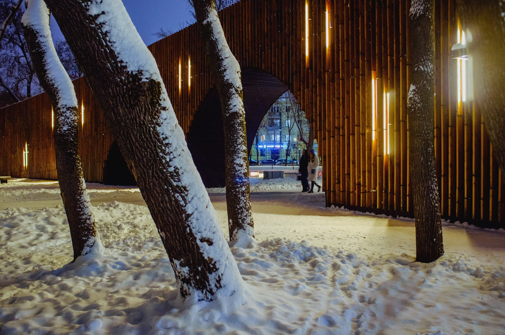 Зима уходящая. Руслан Шувалов (поэтограф)