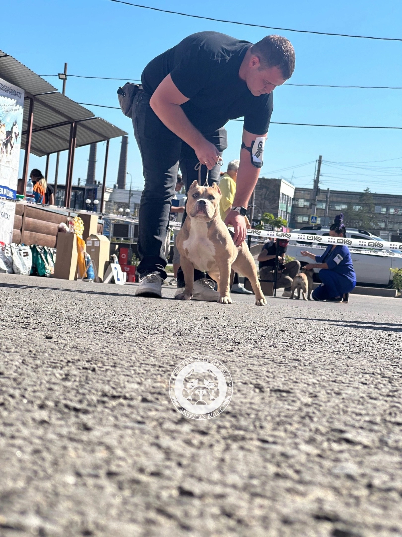 американский булли Юг, американский булли южный округ, лучшие американские булли на юге россии, топовые булли в россии, топовые американские булли в россии, ТОП булли, Топ американский булли, самые крутые американские булли, булли клаccик, булли покет, булли стандарт, булли экзот, булли xl, амeриканский булли, щенок булли, американский булли питомник, американский булли купить, американский булли щенок, американский булли москва, американский булли ростов-на-дону, американский булли краснодар, американский булли ставрополь, американский булли волгоград, американский булли семфирополь, американский булли ставрополь, американский булли сочи, американский булли воронеж, американский булли питер, американский булли санкт-петербург, американский булли Казань, американский булли Новосибирск, американский булли Челябинск, американский булли Ростов, американский булли Луганск, американский булли Донецк, американский булли покет, американский булли классик.американский булли ,американский булли щенки , американский булли купить ,американский булли фото , американский булли покет , собака американский булли , порода американский булли , американский булли цена , купить щенка американского булли ,американский булли характеристика , порода собак американский булли, питомник американских булли , американский булли отзывы, американский булли стандарт , американский булли отзывы владельцев, американский булли xl , россия американские булли , американские булли москва , американский булли вес , американский булли цена щенка, американский булли породы собак сша , американский булли размеры , американский булли классик , американский булли классика , американский булли характеристика породы , авито американский булли , сколько стоит американский булли , окрасы американских булли , американский булли виды , американский булли типы , американский булли цена в россии , американский булли экзот , американский булли микро , американский булли мини , собака американский булли фото , американский булли спб , американский булли характер , минусы американского булли , купить американского булли в москве , американские булли сколько щенков , плюсы американского булли , американский булли плюсы и минусы , взрослый американский булли , американский булли фото цена , американский булли фото щенков , американский булли крым , сколько живут американские булли , американский булли описание , американский булли купить авито , американский булли ростов , собачий питомник , питомник для собак , собаки , порода , щенки, щенок для детей, щенок для ребенка, щенок для семьи, собака для ребенка, питомник BULLY LOVERS, питомник THE POWER OF SIBERIA, питомник Ultimate Bully, питомник FORTIS FORTUNA VALIDI, питомник EXTREME BEAR, питомник American Dream, Питомник RUSSIAN BULLS, питомник ТАРУС & BULLY LAND, питомник Bully Ranch P&N, Питомник ANTREABULLS, питомник Ambully House, питомник Mar Nero, питомник Alfabulls, #micro #microbully #ambully #ambullys #ambullylife #ambullyforlife #ambullyworld #ambullylove #ambullylover #ambullylovers #ambullyloversfans #americanbullybreed #americanbullykennelclub #американскийбуллипитомник #bullies #bulliesallday #bulliesofig #bulliesofinsta #bulliesofinstagram #instabullies #bullieslife #bullymag #americanbully_feature #americanbullydog #tribullies #americanbullyblue #americanbullytricolor #bullystick #americanbullyStud, американский булли,американский булли щенки,американский булли купить,американский булли покет,американский булли фото,собака американский булли,порода американский булли,американский булли цена,американский булли купить щенка,американский булли характеристика,порода собак американский булли,американский булли отзывы,питомник американских булли,американский булли стандарт,американский булли отзывы владельцев,россия американские булли,американский булли виды,американский булли цена щенка,сколько стоит американский булли,американский булли цена в россии,американские булли москва,американский булли xl,американский булли размеры,типы американских булли,американский булли мини,американский булли вес,авито американский булли,американский булли породы собак сша,американский булли микро,американский булли характеристика породы,американский булли экзот,американский булли классик,американский булли классика,собака американский булли фото,американский булли характер,минусы американского булли,американские булли спб,американский булли окрасы,американский булли купить в москве,американские булли сколько щенков,плюсы американского булли,американский булли видео,американский булли плюсы и минусы,американский булли щенок фото,взрослый американский булли,американский булли девочка,американский булли описание,сколько живут американские булли,американский булли покет купить,американский булли крым,american bully,american bully ru,american bully ru shchenki,https american bully ru,https american bully ru shchenki,american bully xl,american bully питомник,american bully dog,american bully kennel,american dream bully,american bully pocket,american bully kennel club,all american bully фильм смотреть,american bully xxl,reddit american bully,american bully ru shchenki html,american bully wise,celina innovations crochet american bully part,https american bully ru shchenki html,american bully classic,питомник американских булли,питомник собак американский булли,питомник американских булли в крыму,питомник собак в крыму американские булли,питомник в крыму американский булли последние,питомник американских булли в москве,американские булли купить питомник,питомник американских булли в россии,питомник американских булли покеткупить щенка американский булли питомник,американские булли цена питомники,питомник американских булли в спб,питомник американских булли яна,купить американского булли в москве питомник,питомник американских булли в москве и московской,официальные питомники американских булли,крым питомник американских булли яна,булли американский купить питомник цена,москва и область питомники американских булли,питомник американских булли яна и гоша,американские булли подмосковья питомник,американский булли стандарт питомник,питомник американских булли екатеринбург,питомник американских булли ростов,лучшие питомники американских булли,питомник собак крым американский булли яна,яна питомник собак американский булли,американский булли купить в спб питомник,американский булли питомник львиное сердце уфа,американский булли питомник львиное сердце уфа вк,американский булли лучший питомник россии,американский булли питомник краснодар,американский булли купить спб щенка питомник,американский булли покет питомник москва,американский булли сайт питомник,питомник американский булли официальный сайт,питомник американских булли в челябинске,питомники американских булли в россии список лучших,питомник собак американских булли серпухов,питомник собак дзен американский булли,американский булли xl питомник,питомник американских булли в талдоме,питомник и цена американ американский булли,фаворит гигант питомник американских булли,американский булли купить,американский булли купить щенка,американский булли купить в москве,американский булли покет купить,американский булли купить щенка в москве,американский булли купить авито,купить американский булли цена,купить американского булли в спб,купить собаку американский булли,американский булли купить щенка цена,американский булли покет купить щенка,американский булли купить в беларуси,американский булли стандарт купить,американский булли купить москва московская область,купить американского булли в россии,купить американского булли в московской области,американский булли купить в екатеринбурге,американский булли купить в новосибирске,американский булли купить щенка в спб,