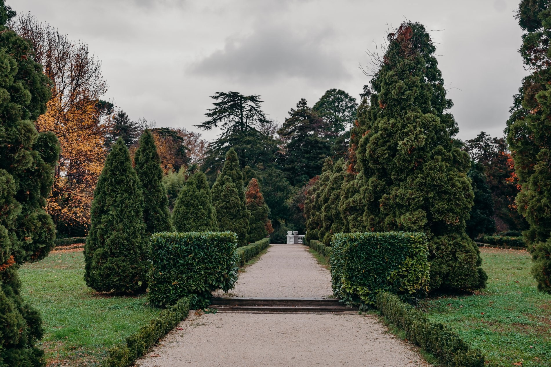 АДЛЕР. Свадебный и семейный фотограф/видеограф в Краснодаре Наталья Осинская