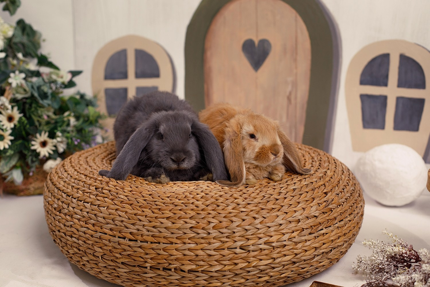 Фотостудии Брянска. Семейный фотограф в Брянске Александра Щербакова