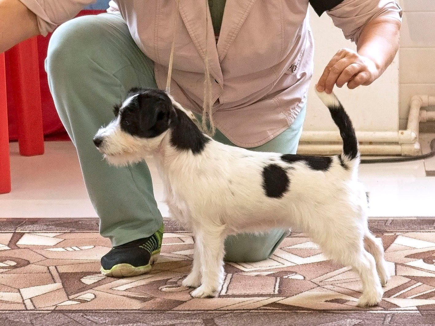 Port Fortis Polka Dot