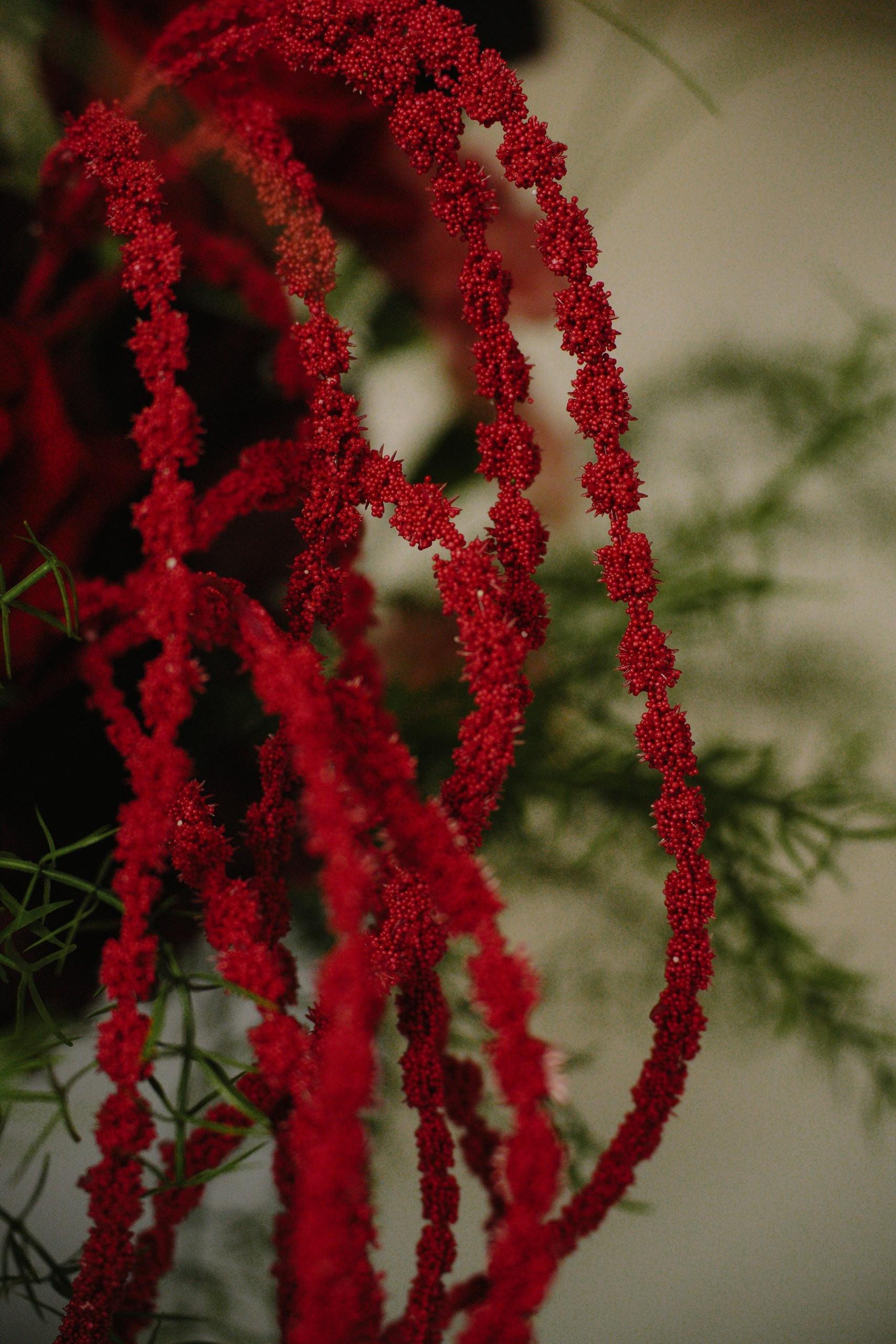 Дима и Ксюша. Организатор мероприятий в Абакане I Ольга Петухова