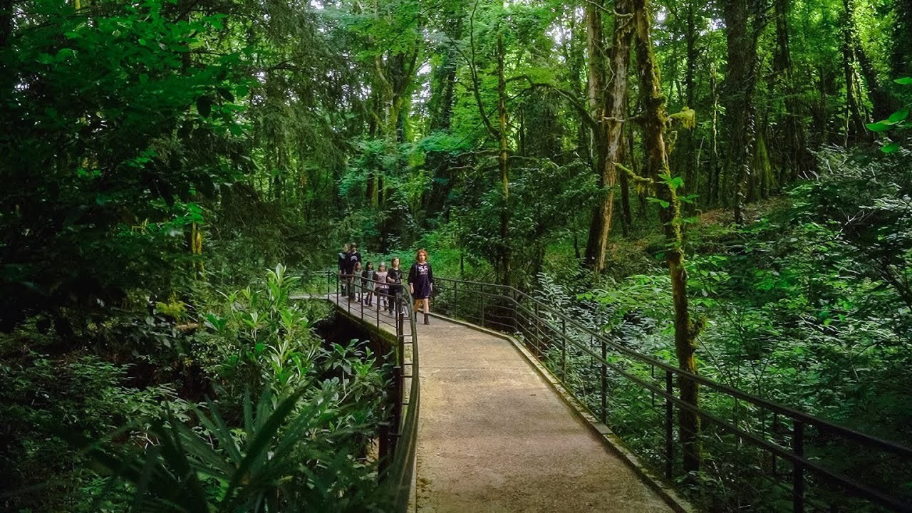 Софья Терешина «Берегиня». Агата Акварель видеограф Сочи Краснодар
