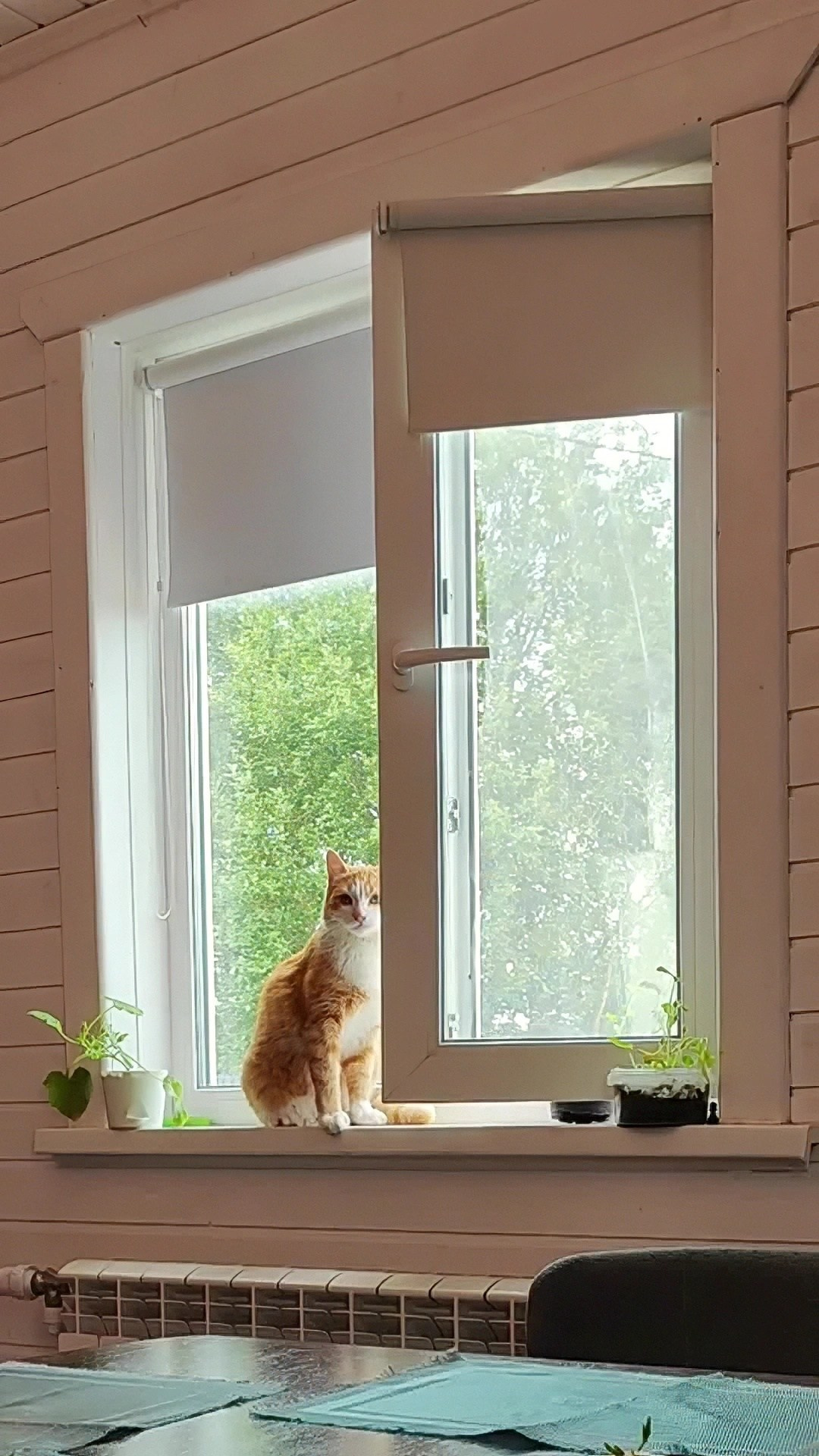 Работы учеников на курсе по видео (вебинар). Наталья Рапопорт. Онлайн-курсы по фотографии и съемке видео