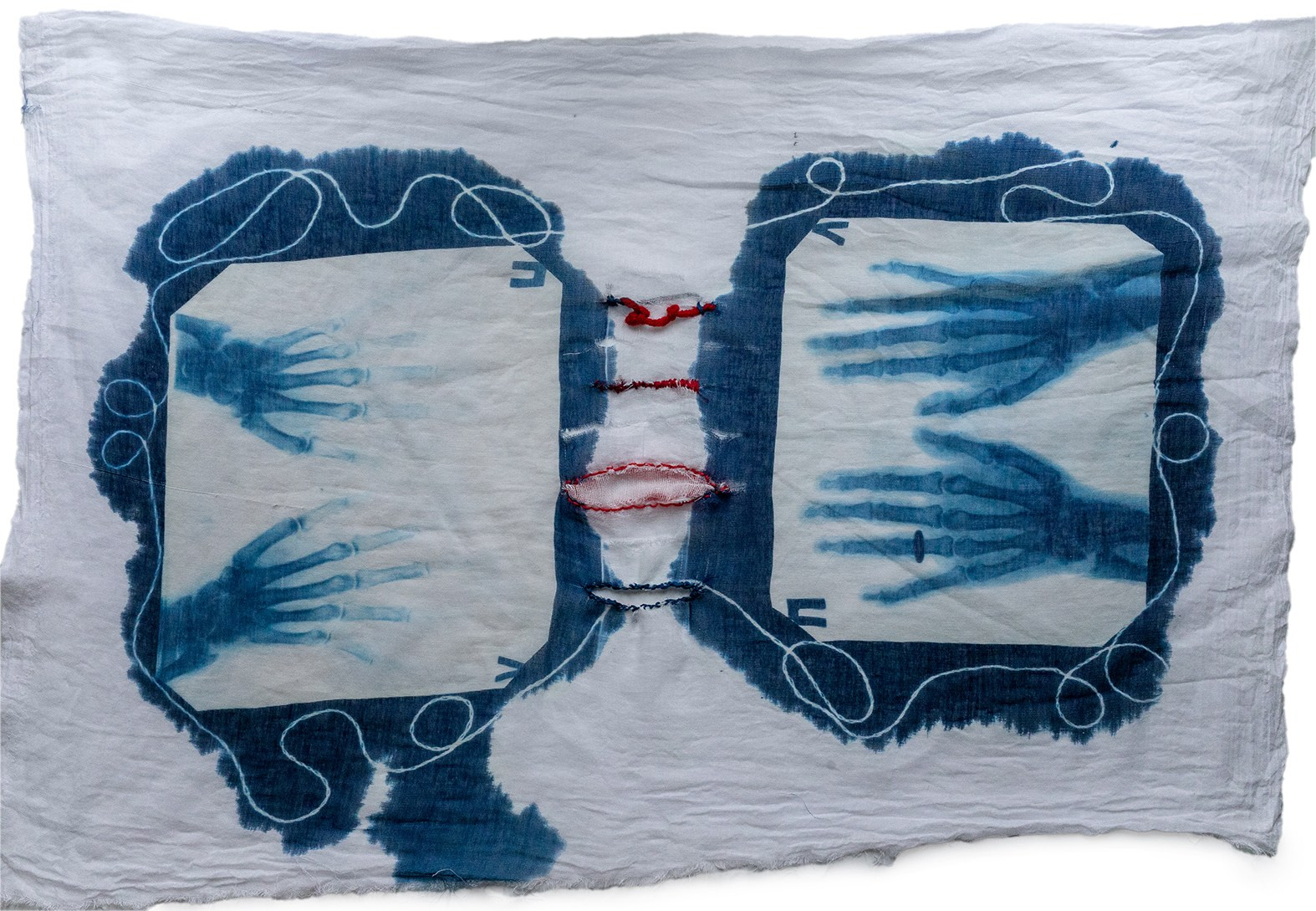 CYANOTYPE. CONTEMPORARY ARTIST OLGA ANDRIYASH