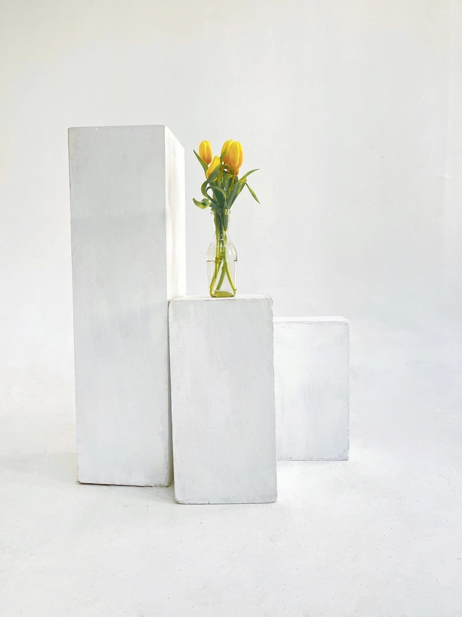 Зал «Росси». Фотостудия PopcornStudio | Санкт-Петербург