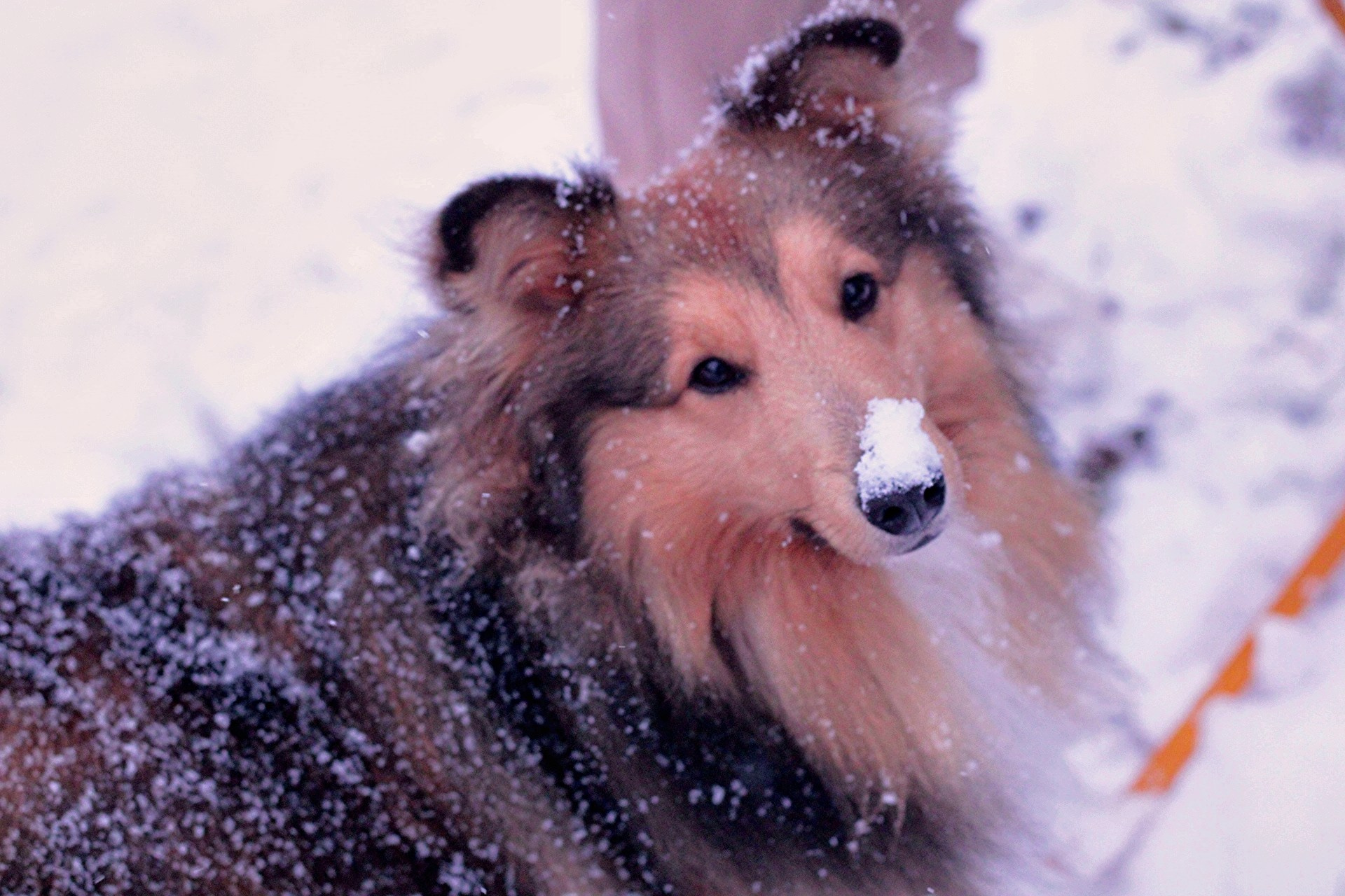 Катя Попова|ЛайфСтайл фотограф