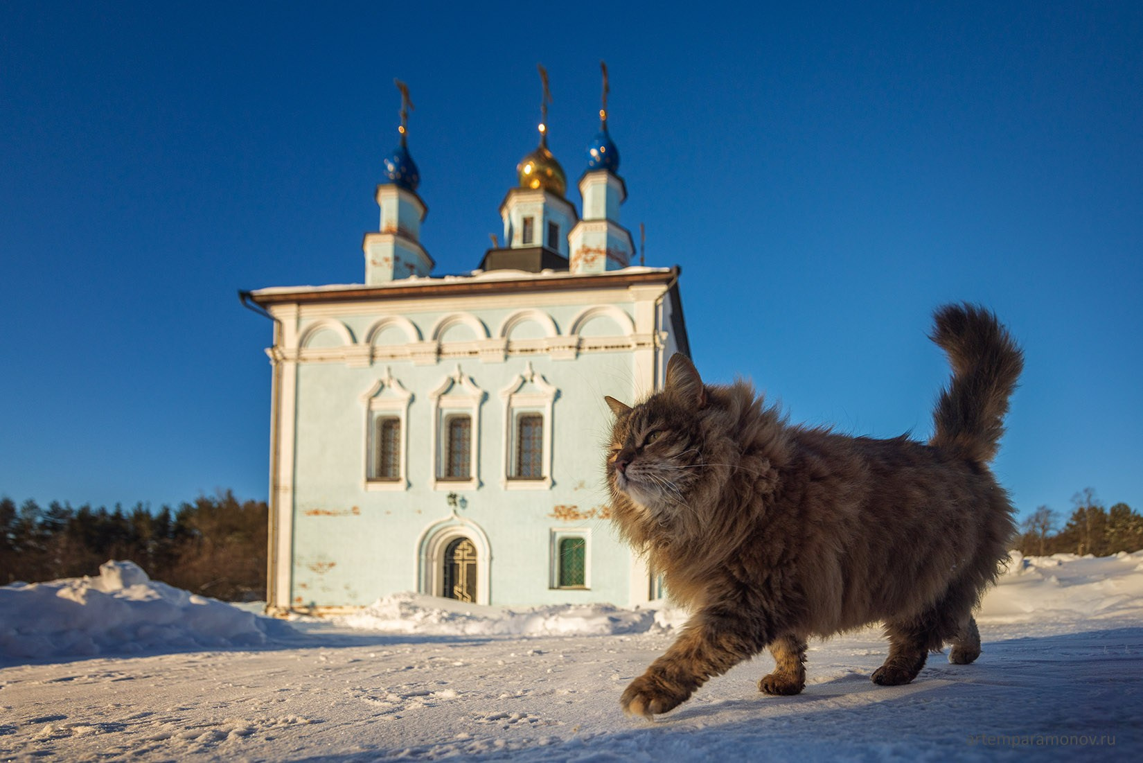 Свято-Введенский Макарьевский Жабынский мужской монастырь. Фотохудожник Артём Парамонов