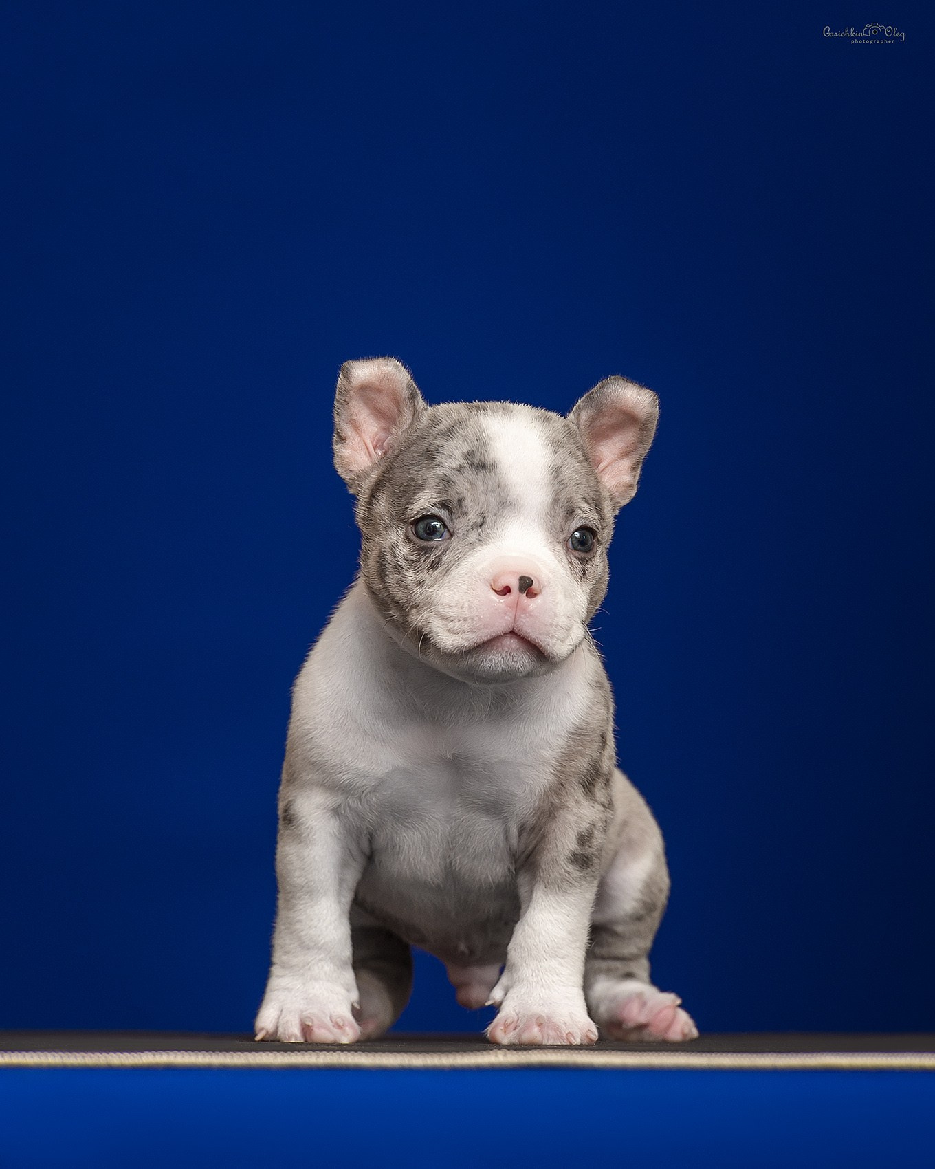 продажа амбулли в Нижнем Новогороде