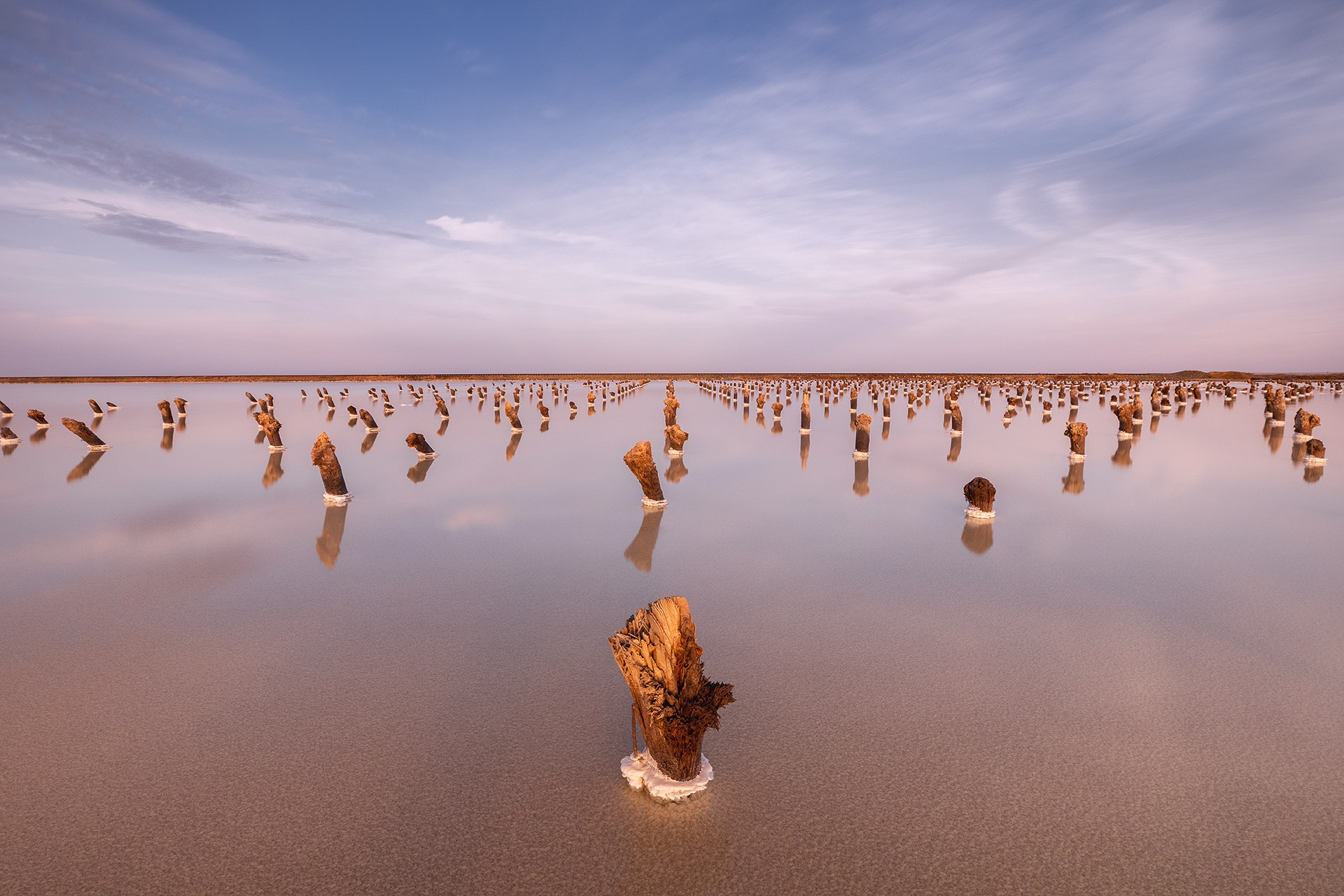 Волгоградская и астраханская области Весна 2026 | Фотограф Дмитрий Купрацевич. Дмитрий Купрацевич профессиональный пейзажный и travel-фотограф