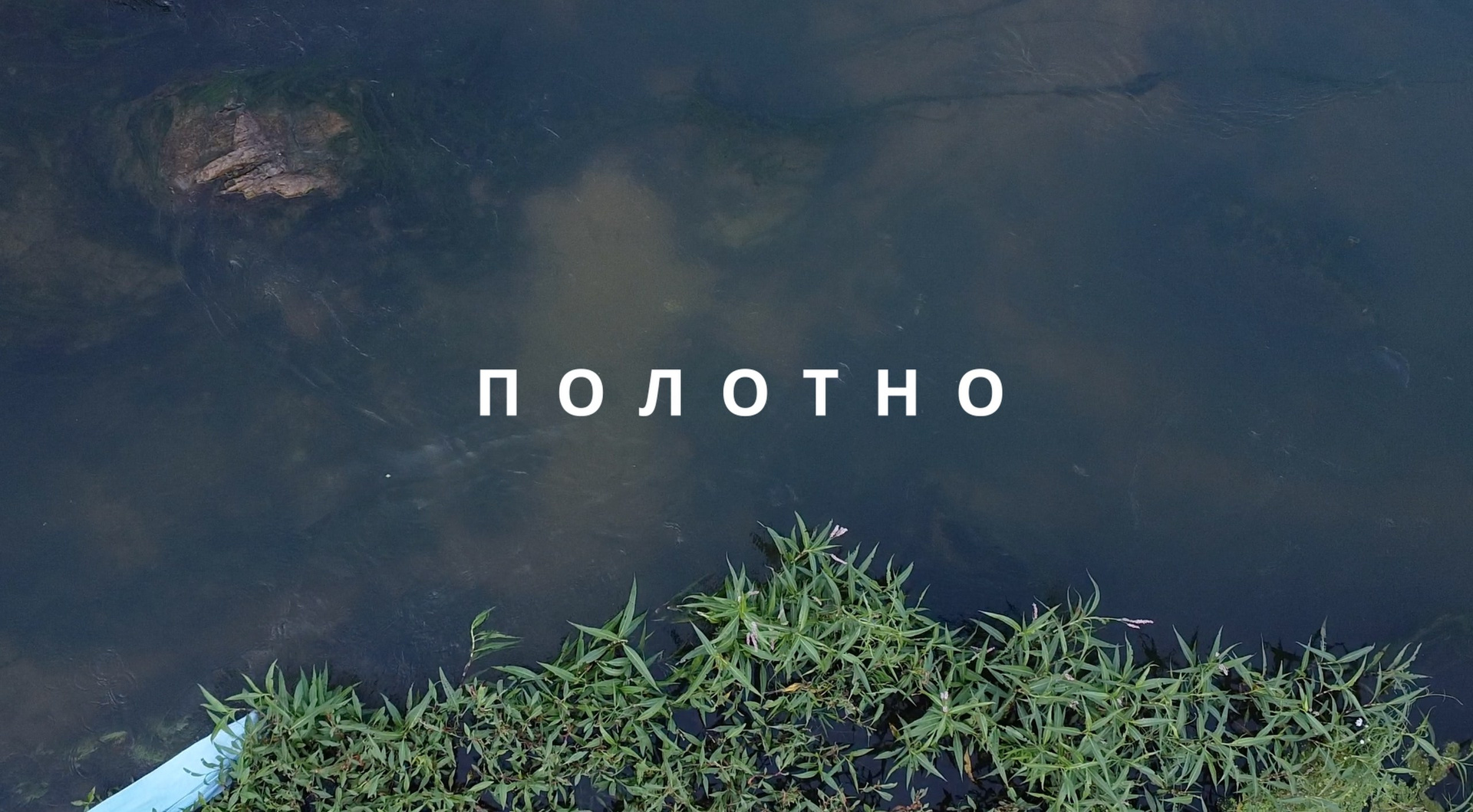 Портфолио