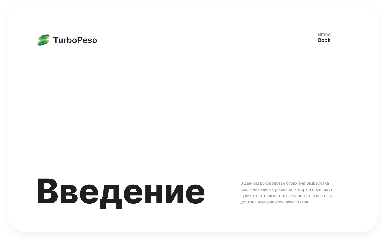 TURBOPESO Branding. Ui/Ux designer