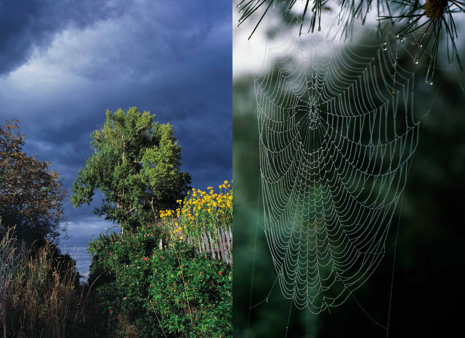 Коллекционные альбомы. ВАДИМ ГИППЕНРЕЙТЕР — ВЕЛИКИЙ ФОТОГРАФ ЗЕМЛИ РУССКОЙ