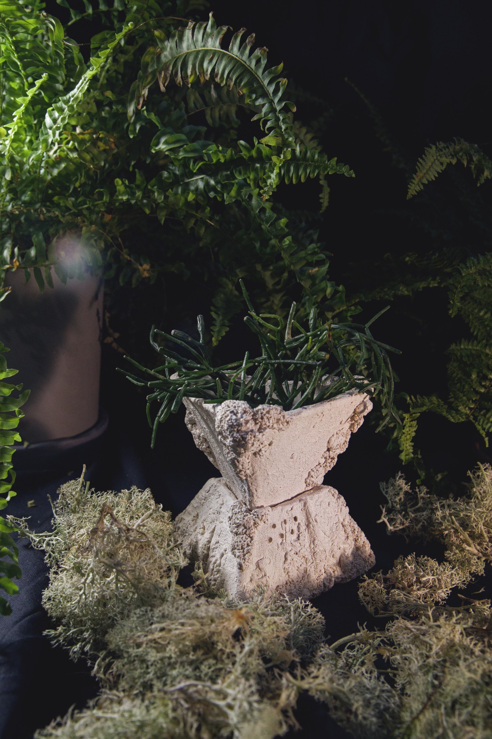 Керамика. Катя Цвет