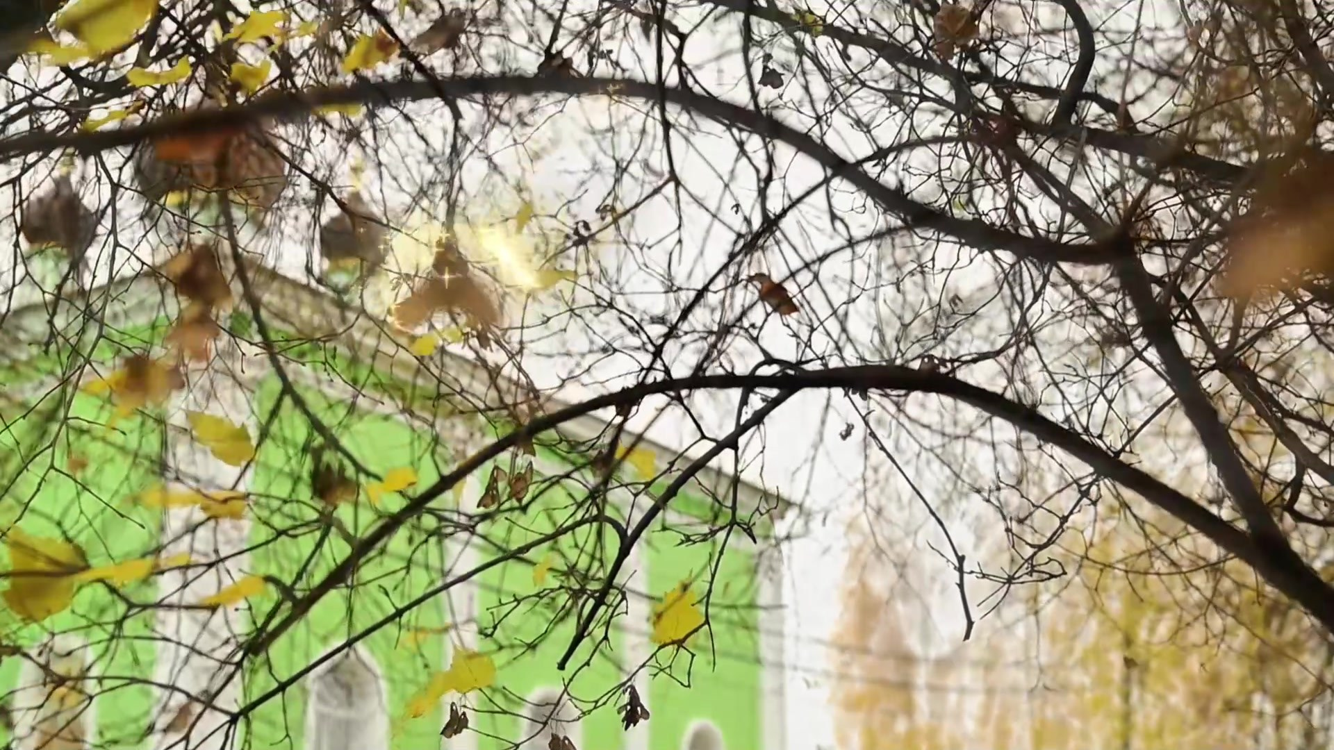 Профессиональные видео крещения и венчания в Москве и МО. Видеосъёмка крещения и венчания, Москва и московская область