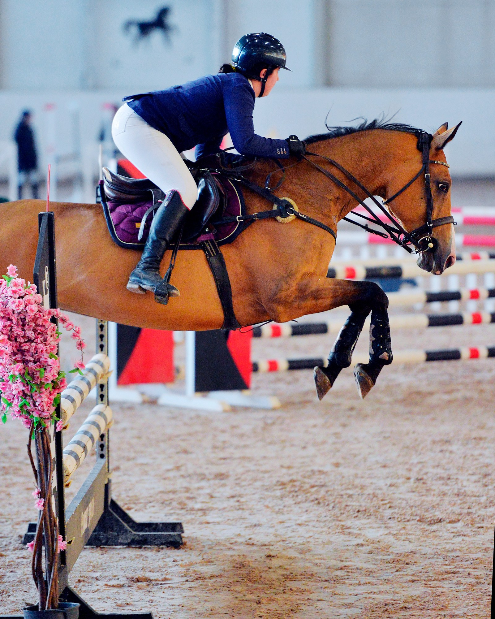 Конкур: кск «Дерби» 18 — 19.10.2025