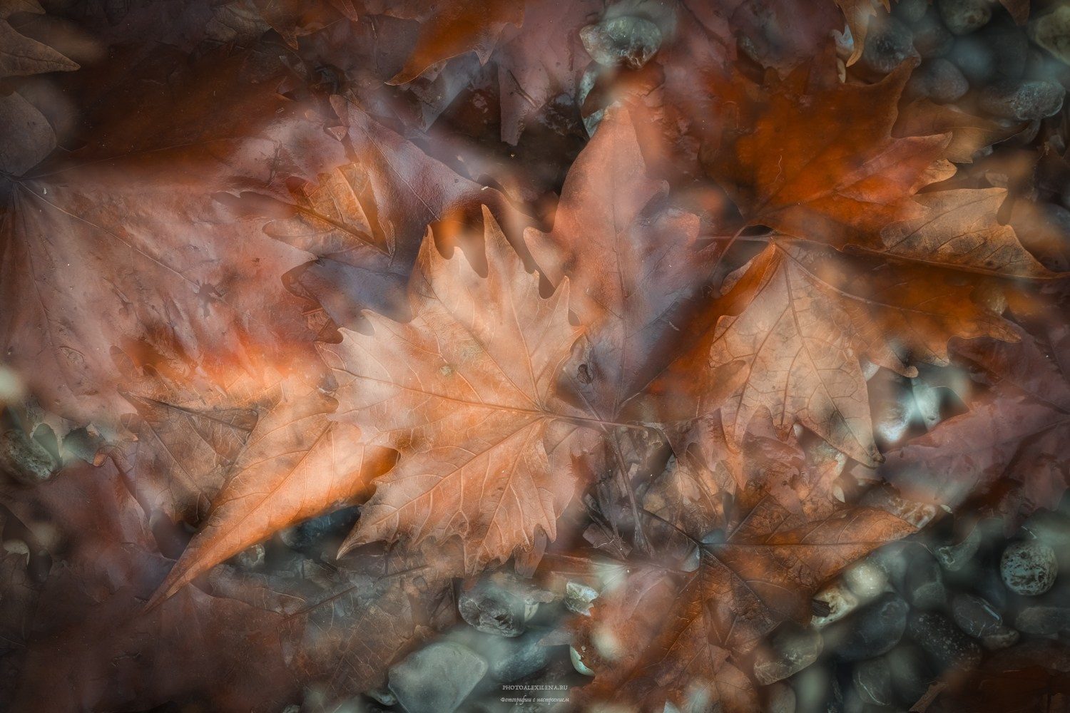 Vittoriale degli Italiani-Бывшая резиденция Габриеле Д’Аннунцио. Авторские стильные фотокартины