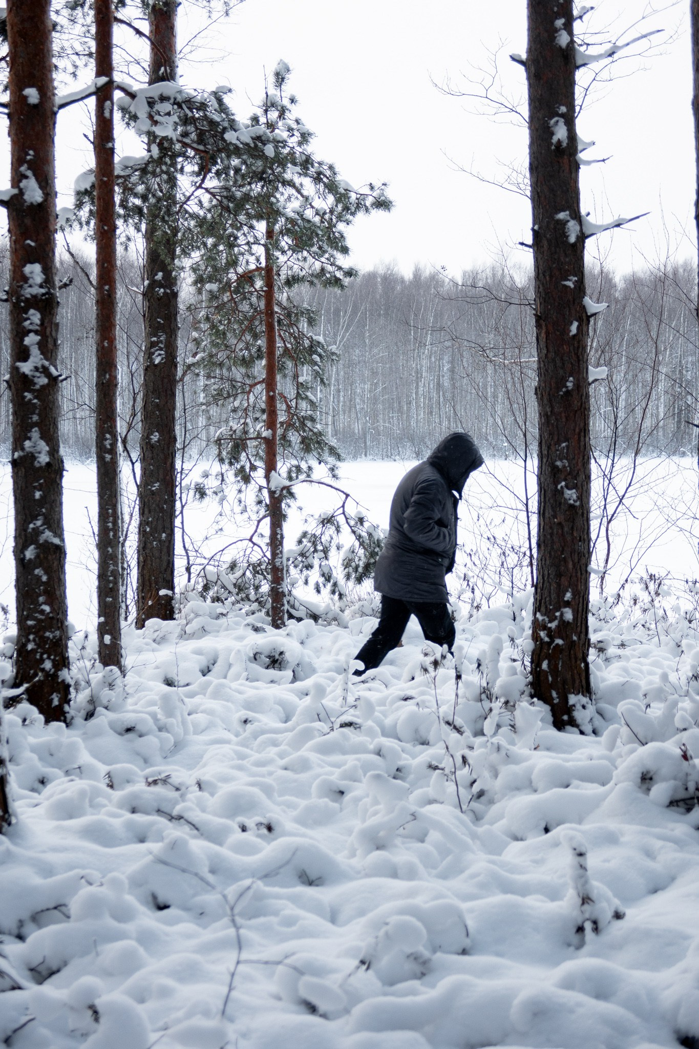 Новогодняя поездка в Санкт-Петербург. Павел Шарапов | Фотограф | Москва