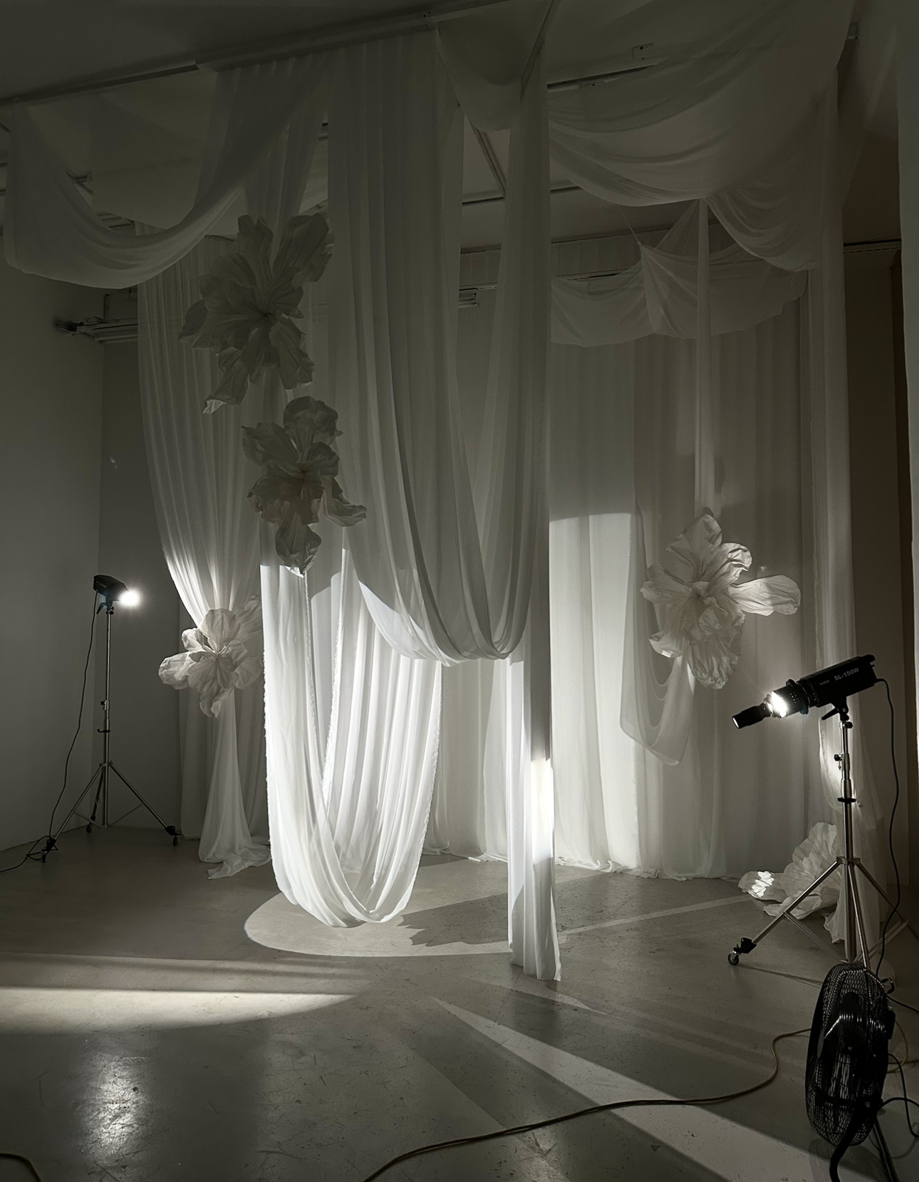 Workshop в фотостудии Lumos. Фотограф Красноярск