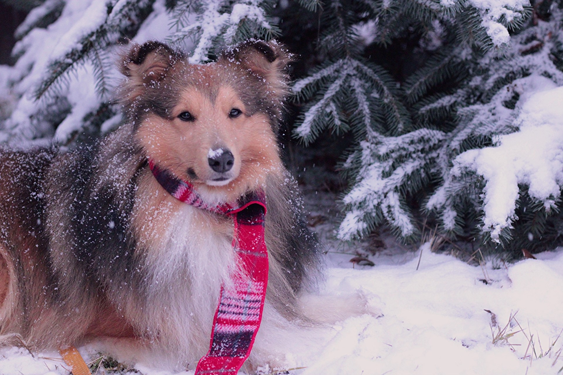 Катя Попова|ЛайфСтайл фотограф