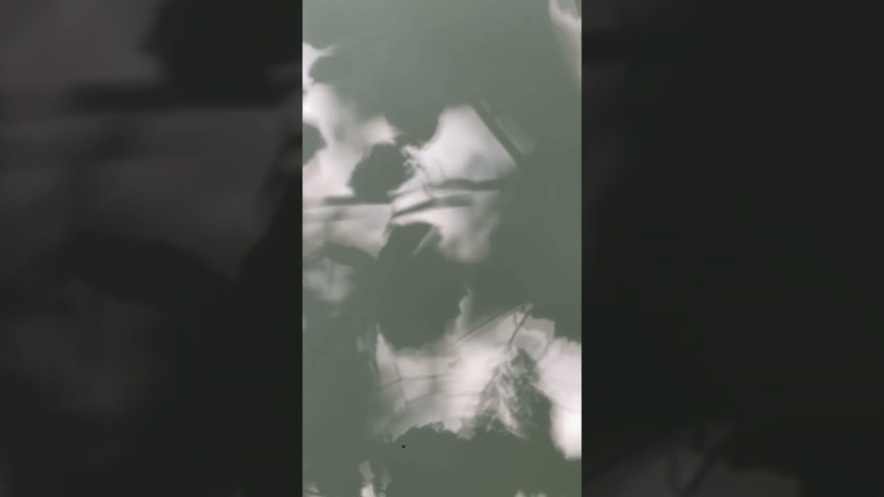 Анна Плотникова — Выйти из тени или личная археология