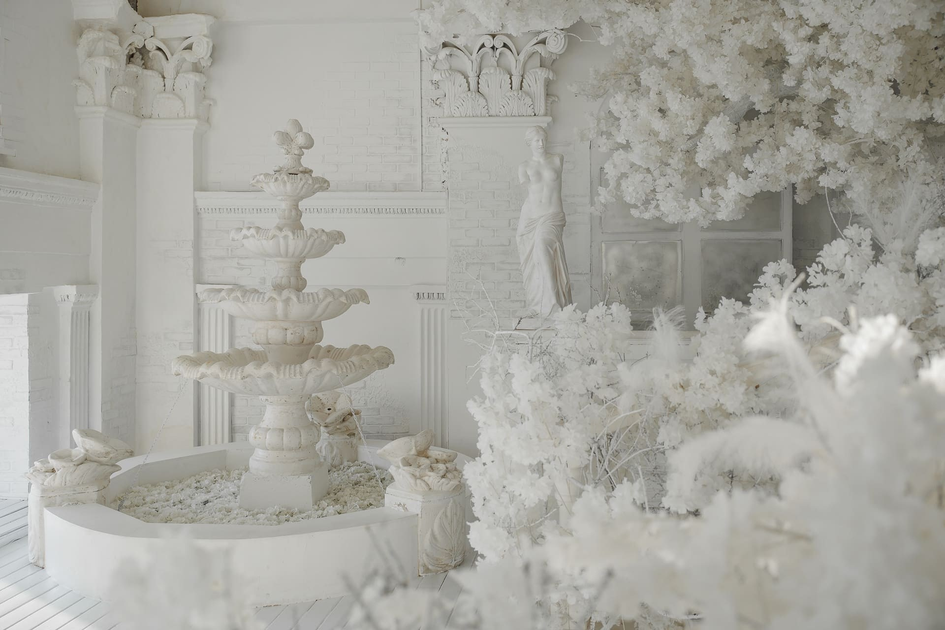 Фотодень «Душа Балета» в Нижнем Новгороде. Балетный фотограф Алина Ханько — Душа Балета