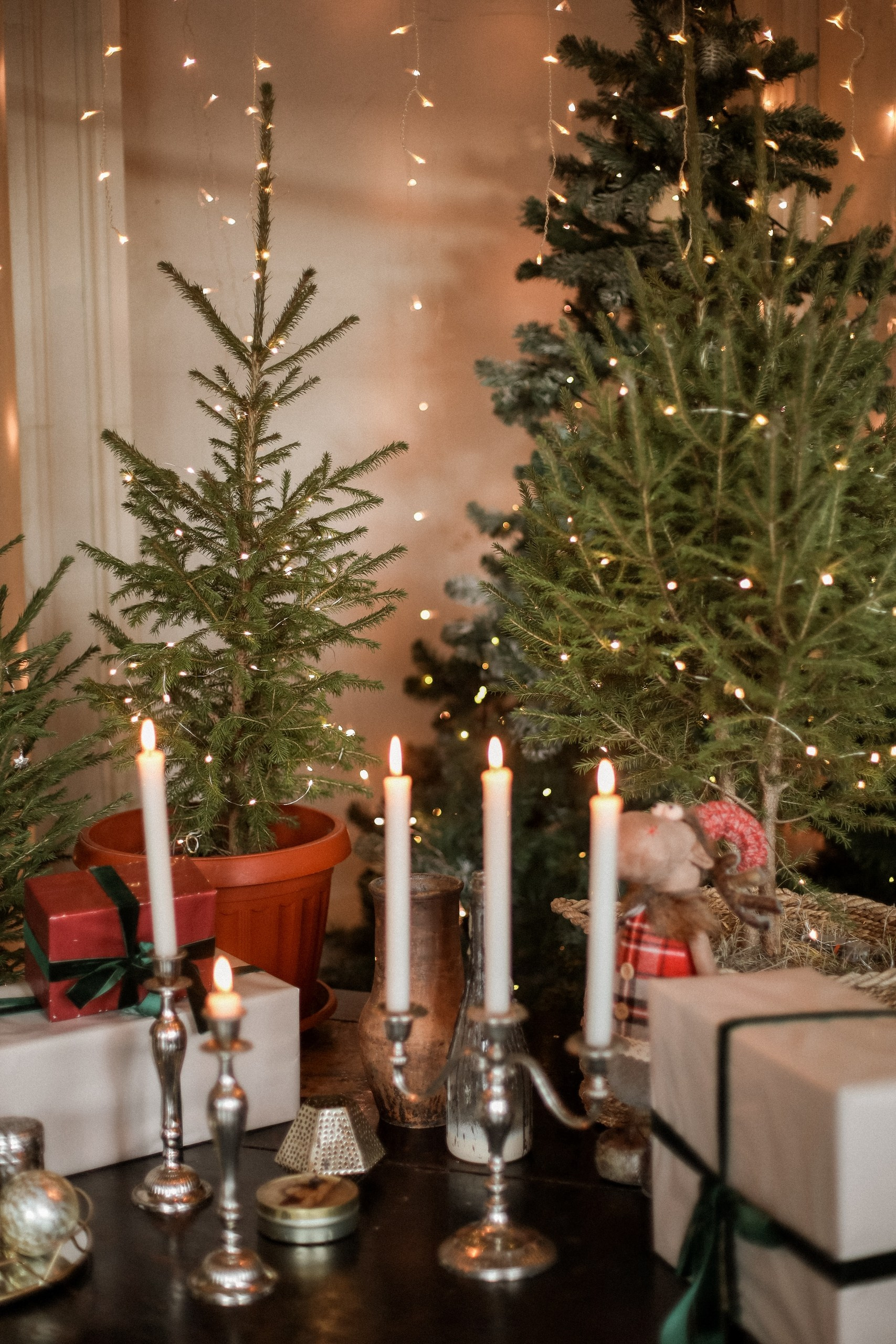 Новогодняя фотосессия тюмень. Фотограф Дарья Мустафина, Тюмень