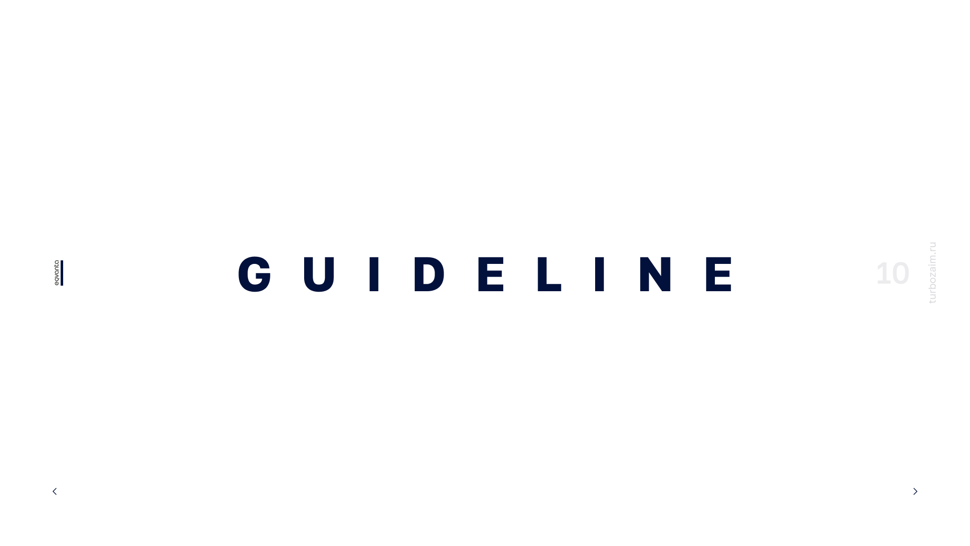 TURBOZAIM Branding. Ui/Ux designer