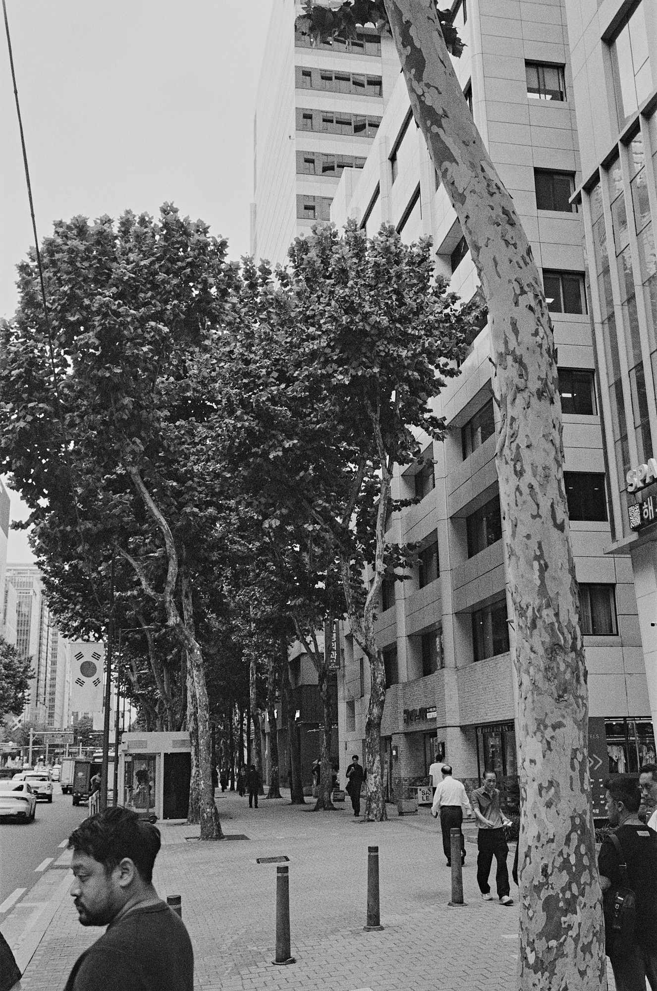 The gastroturist. Seoul (South Korea). Another person Pavel Potseluev. A photographer in 2025