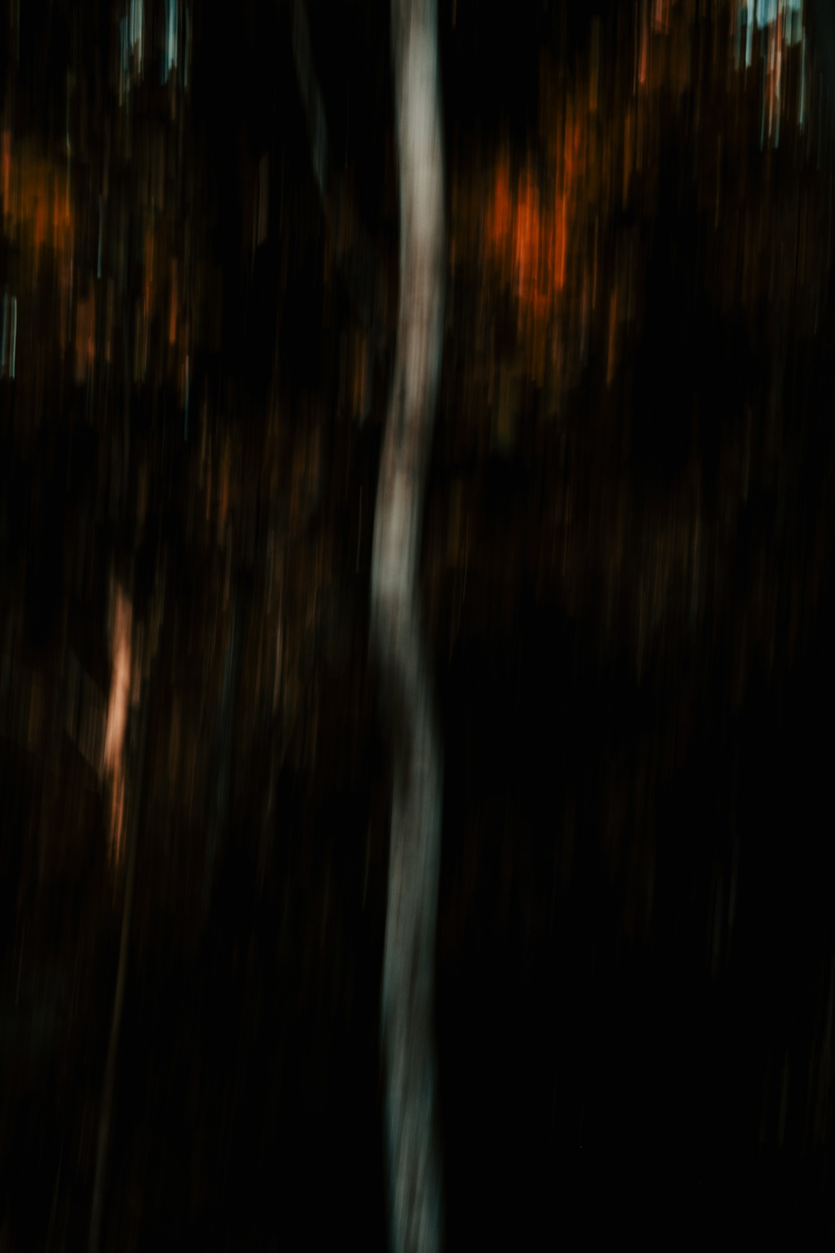 Mi Hija Mexicana. Margarita Rodionova — a contemporary lens-based artist currently working in Cancun, Mexico