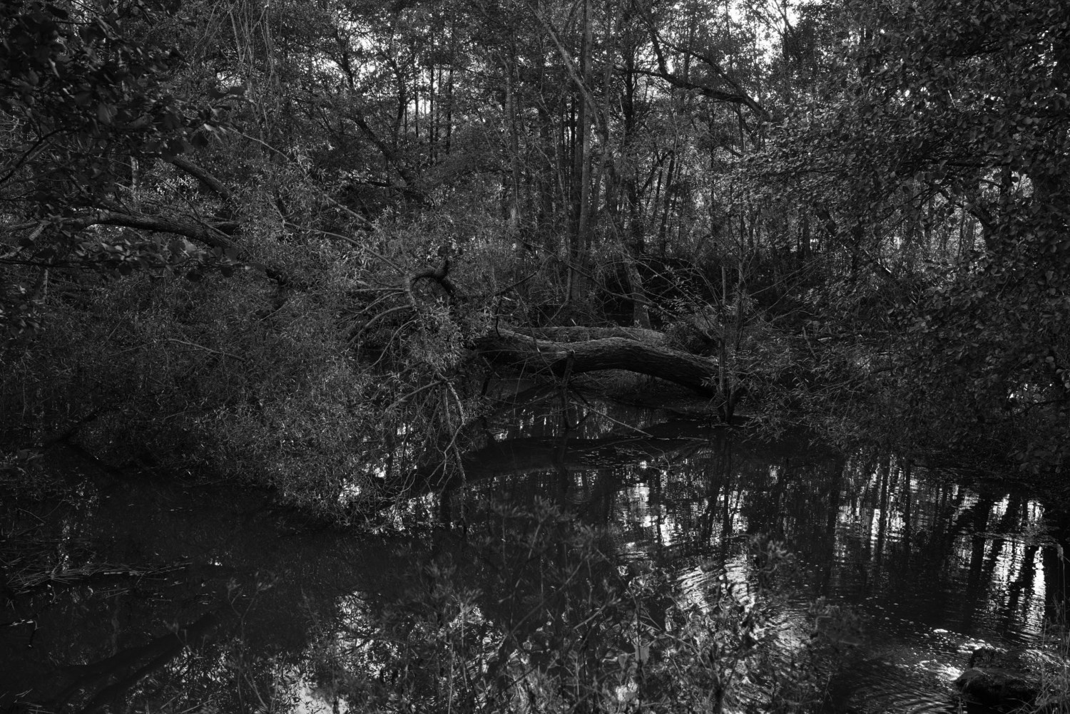 Непокорённая земля. Пылина Ирина — современная фотография