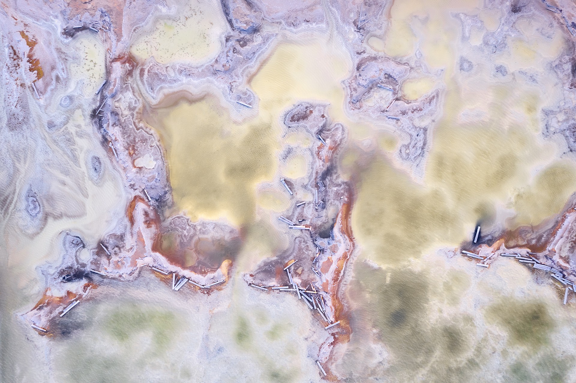 Волгоградская и астраханская области Весна 2026 | Фотограф Дмитрий Купрацевич. Дмитрий Купрацевич профессиональный пейзажный и travel-фотограф