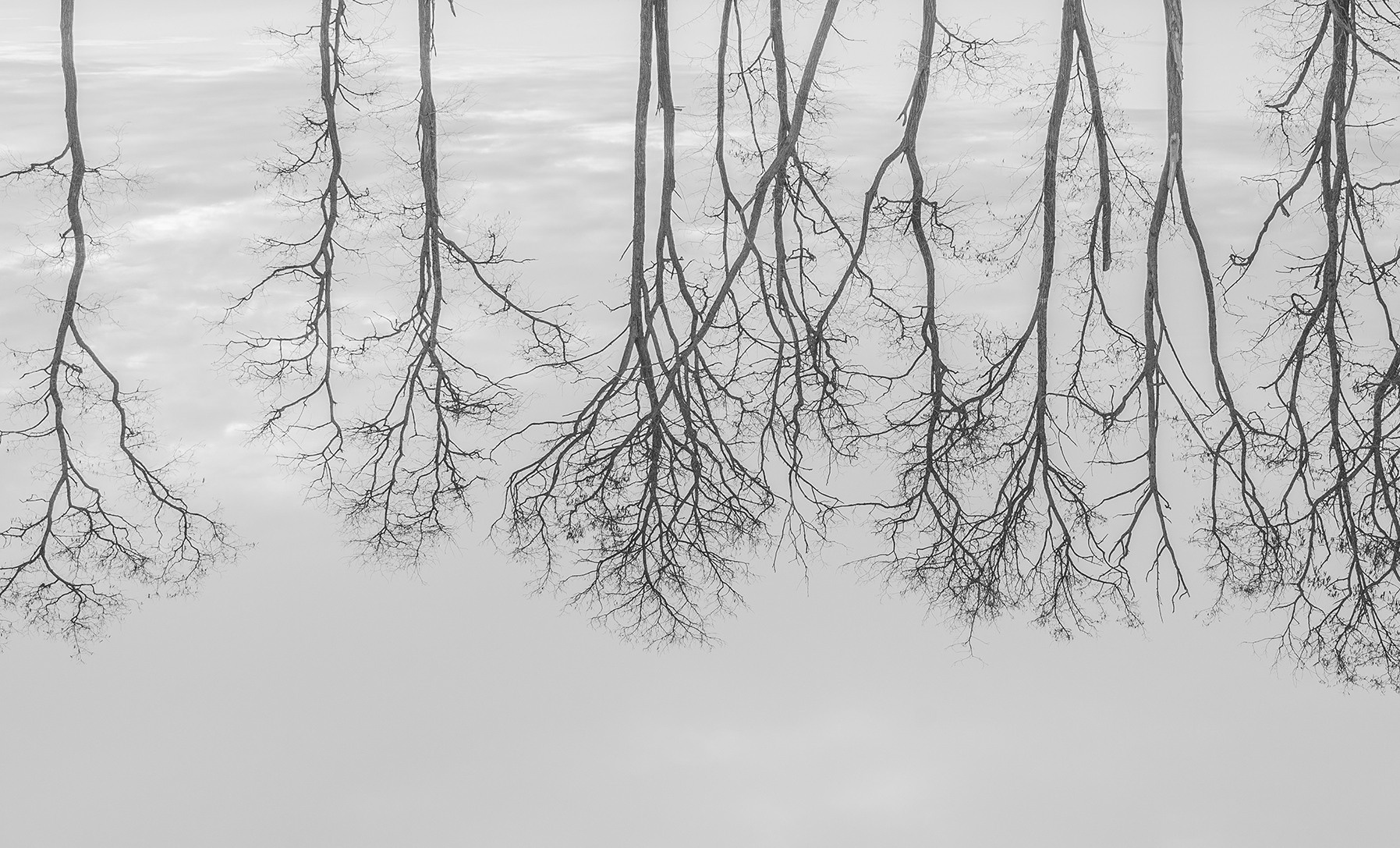 Компот с виноградом и айвой. Фотограф в Москве Алейникова Евгения