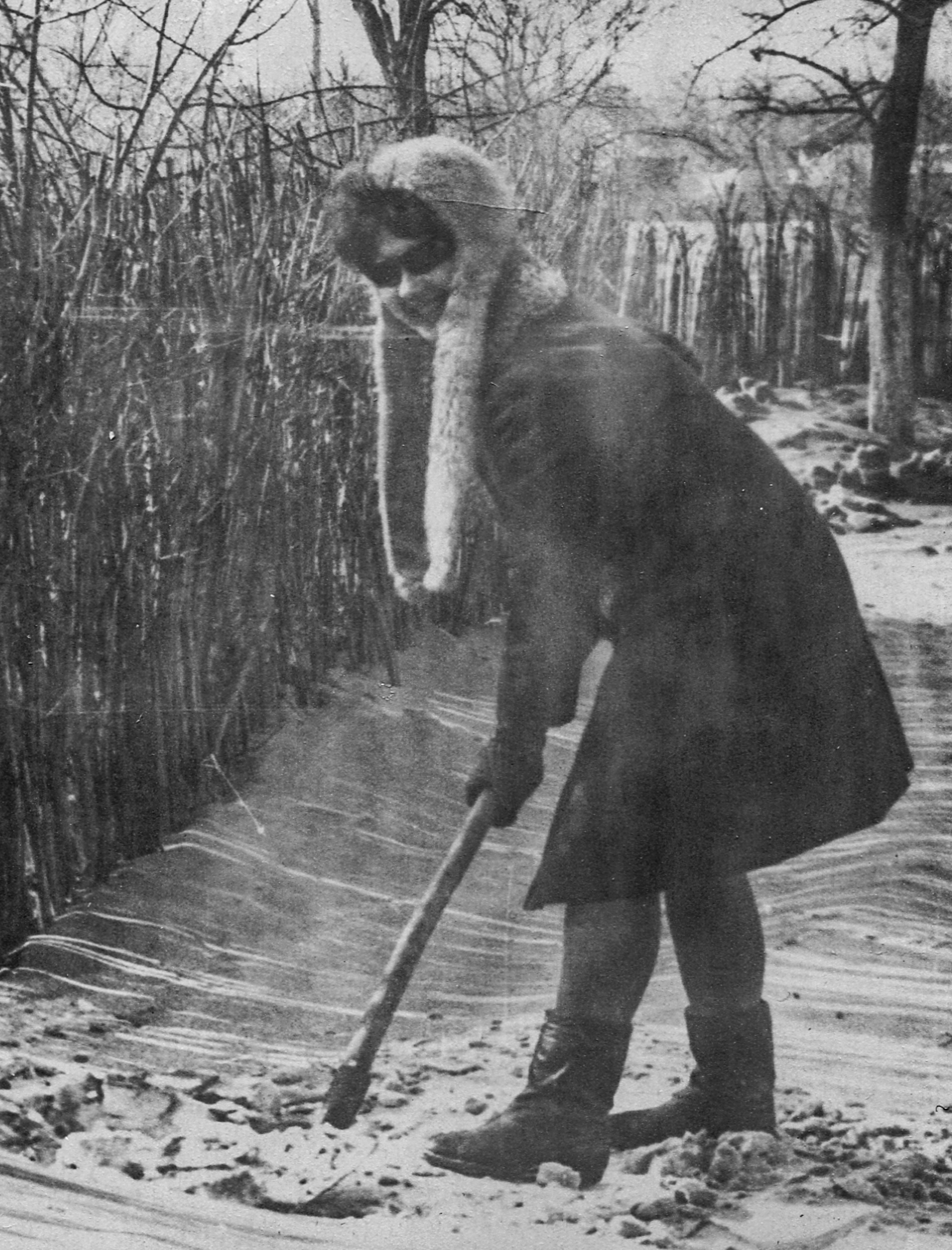 Компот с виноградом и айвой. Фотограф в Москве Алейникова Евгения