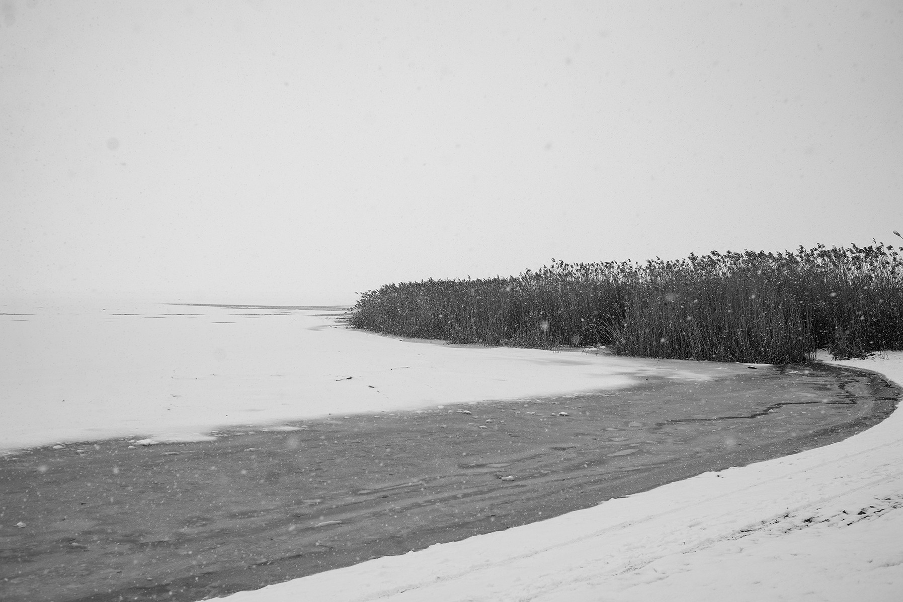 Компот с виноградом и айвой. Фотограф в Москве Алейникова Евгения