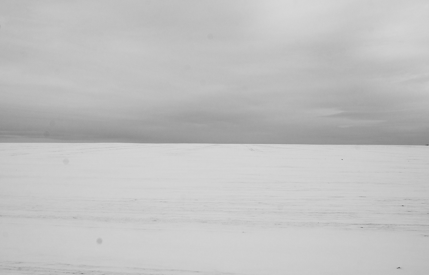 Компот с виноградом и айвой. Фотограф в Москве Алейникова Евгения