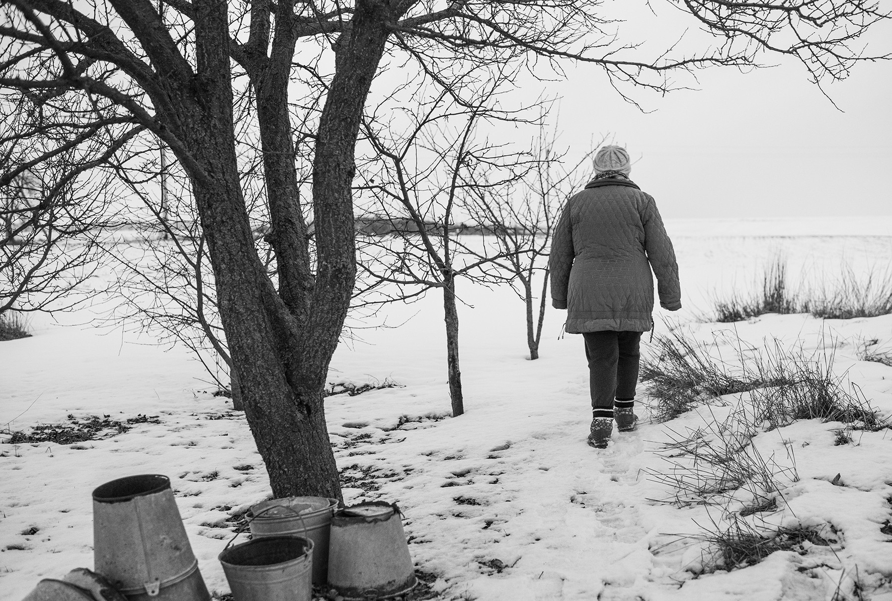 Компот с виноградом и айвой. Фотограф в Москве Алейникова Евгения