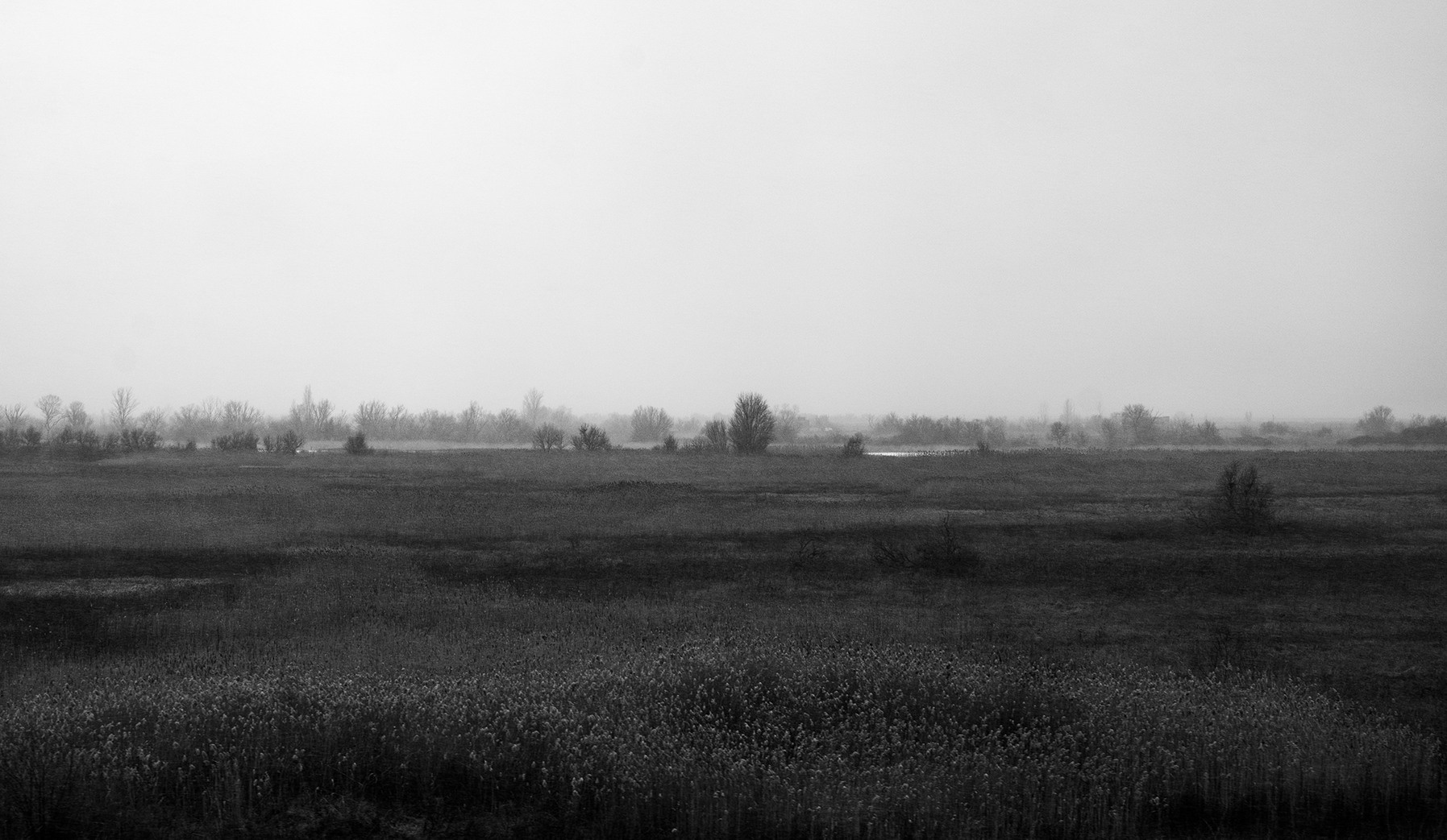 Компот с виноградом и айвой. Фотограф в Москве Алейникова Евгения