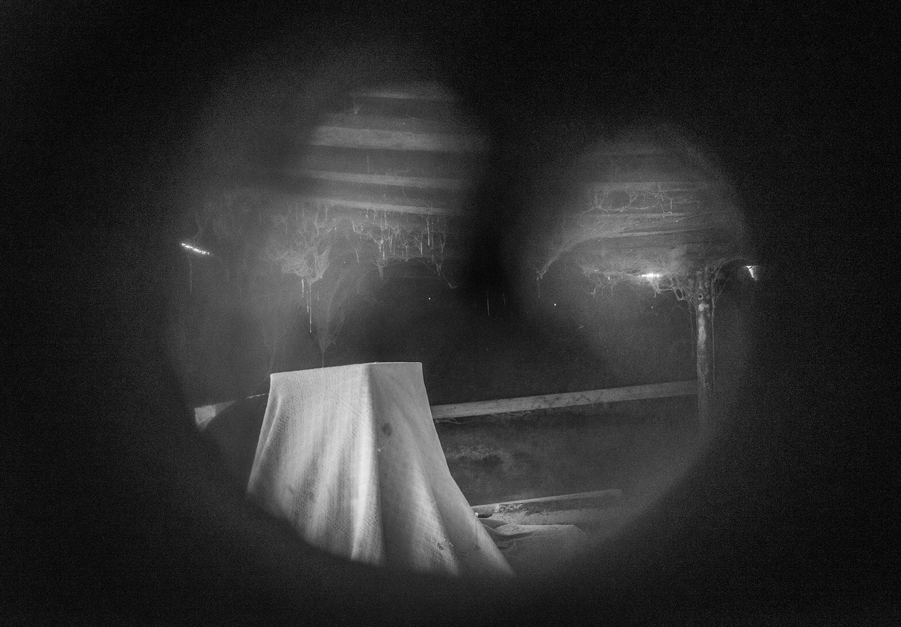 Компот с виноградом и айвой. Фотограф в Москве Алейникова Евгения