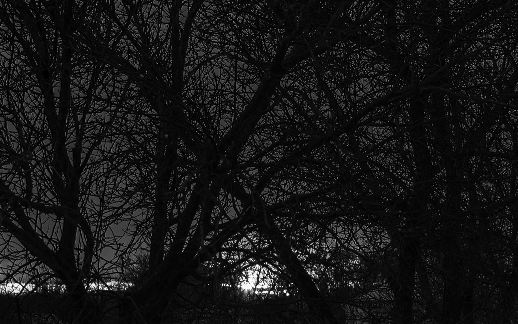 Компот с виноградом и айвой. Фотограф в Москве Алейникова Евгения