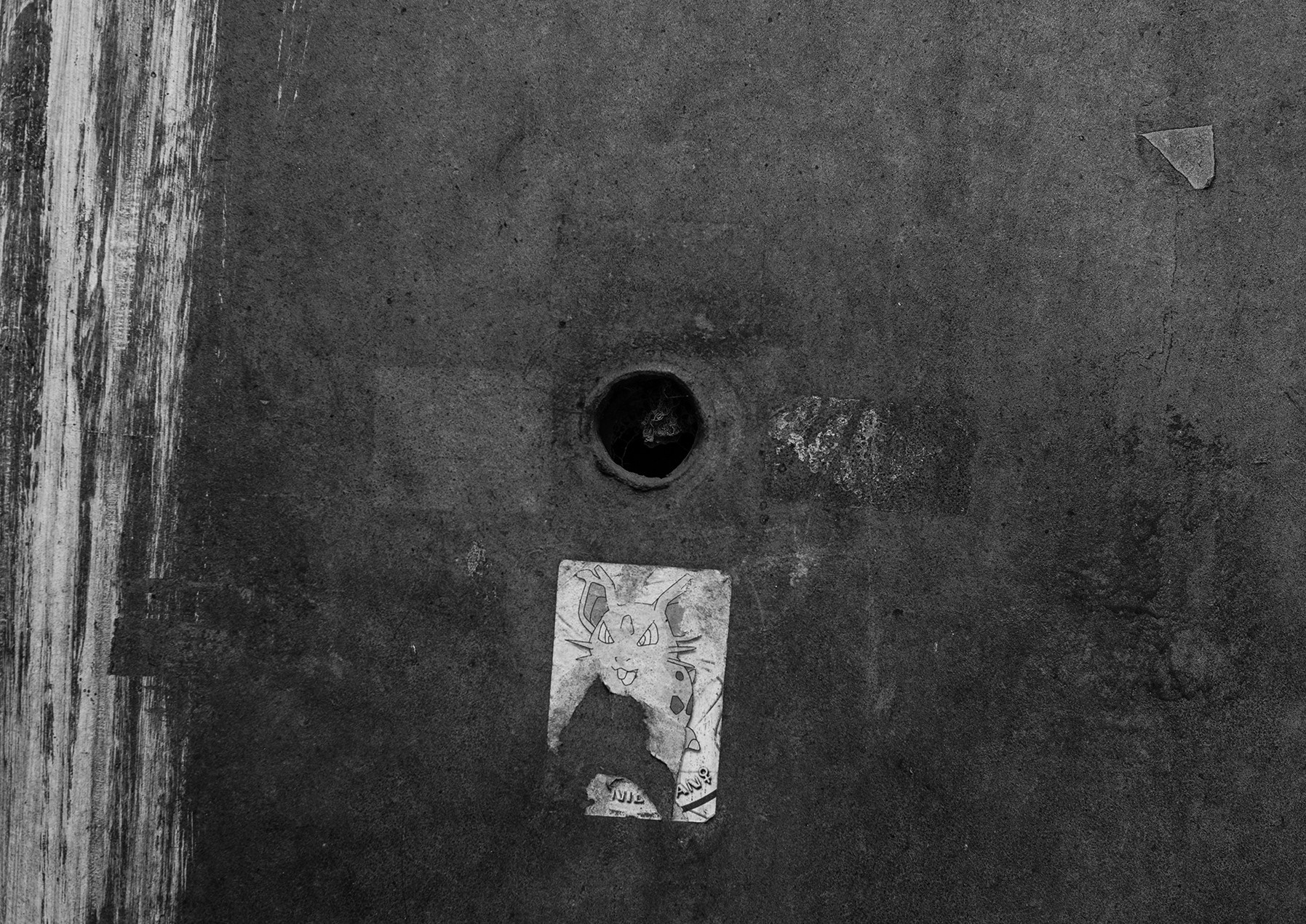 Компот с виноградом и айвой. Фотограф в Москве Алейникова Евгения