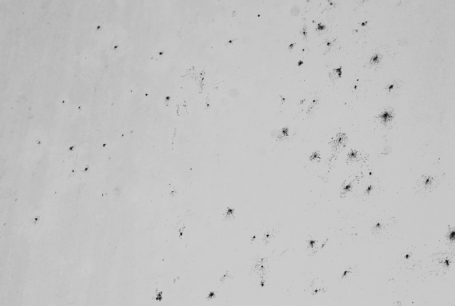 Компот с виноградом и айвой. Фотограф в Москве Алейникова Евгения