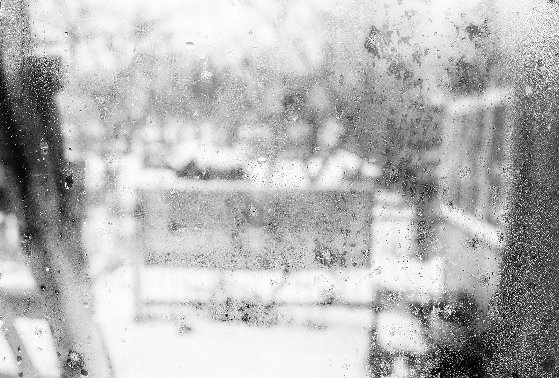 Компот с виноградом и айвой. Фотограф в Москве Алейникова Евгения