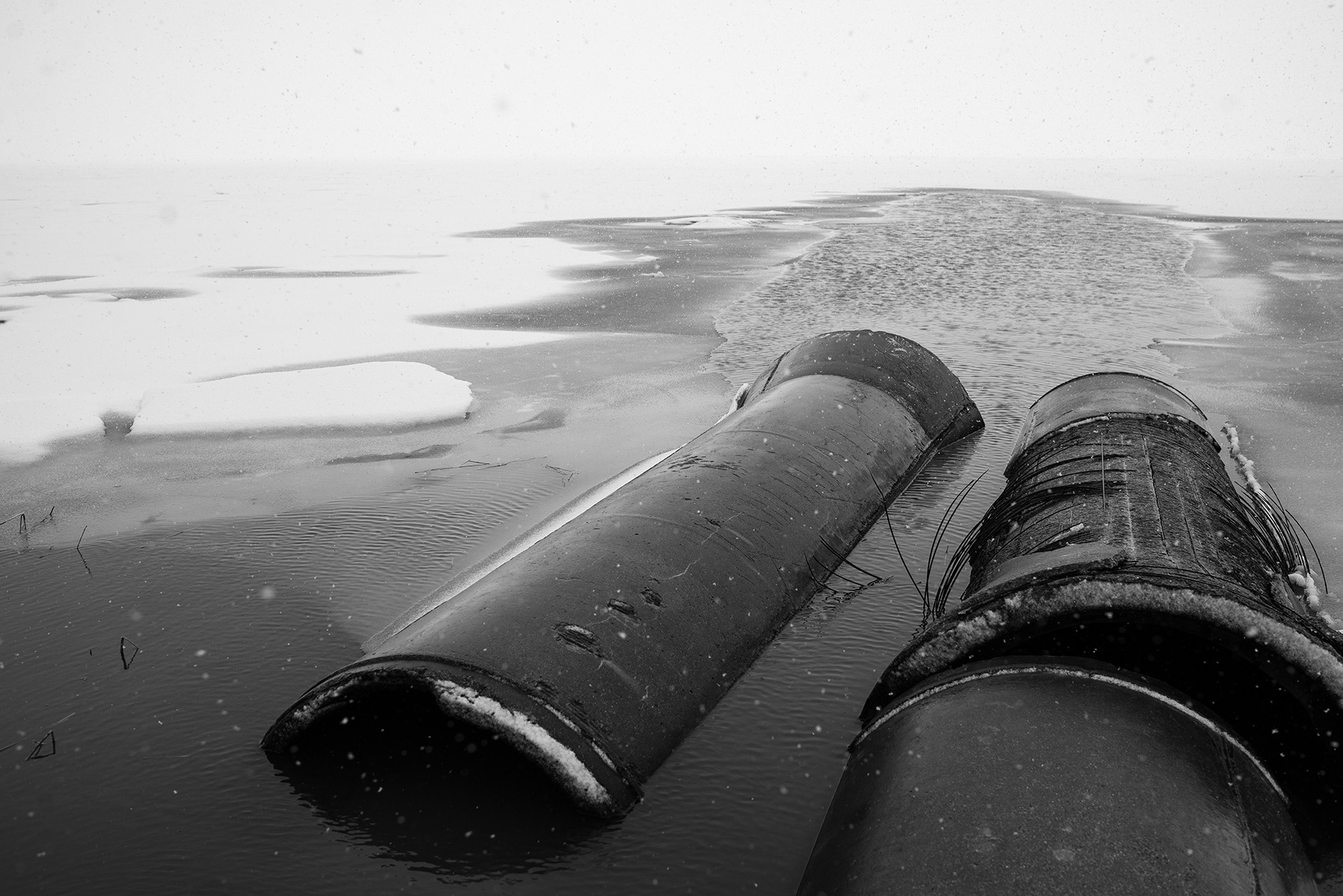 Компот с виноградом и айвой. Фотограф в Москве Алейникова Евгения