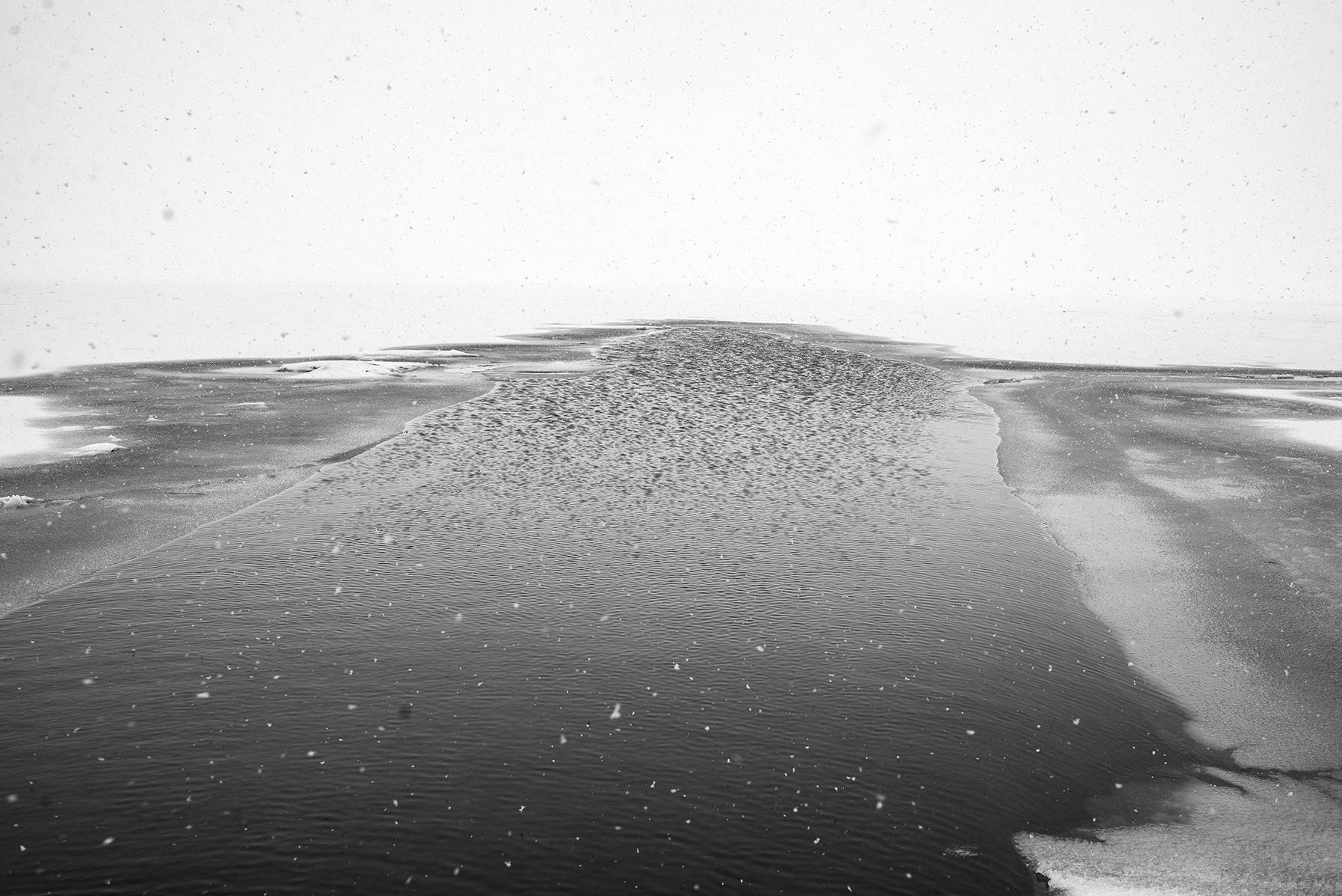 "Компот с виноградом и айвой" фото книга, проект о моей бабушке