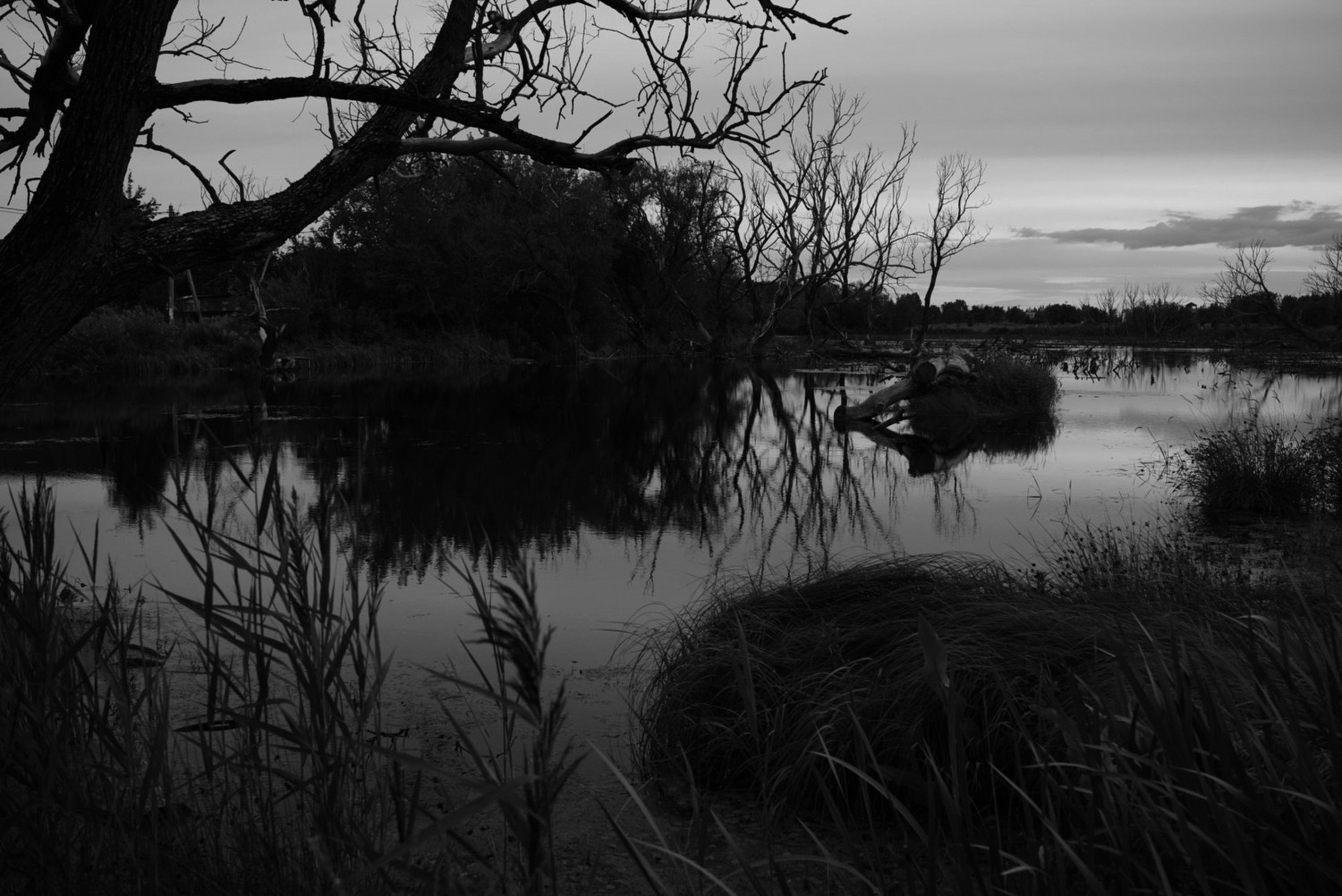 Непокорённая земля. Пылина Ирина — современная фотография